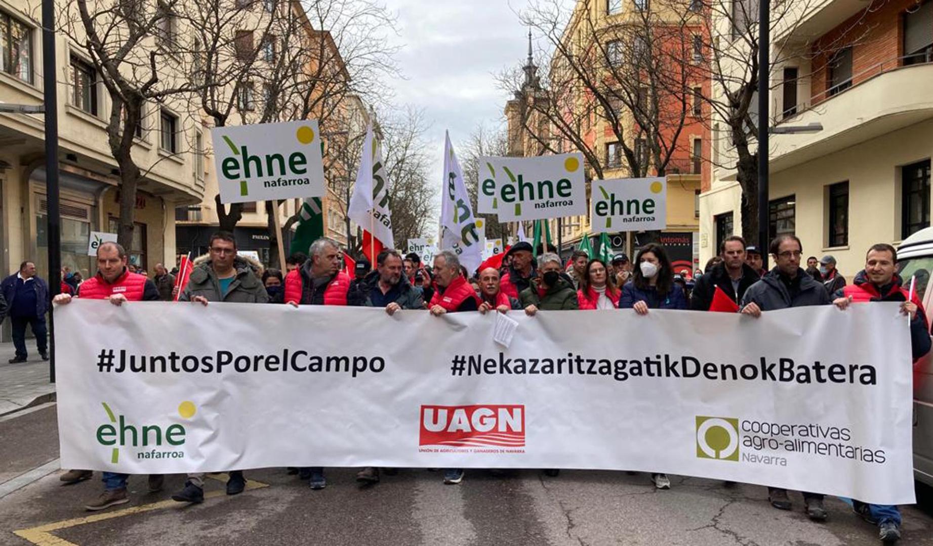 Los manifestantes por las calles de Pamplona