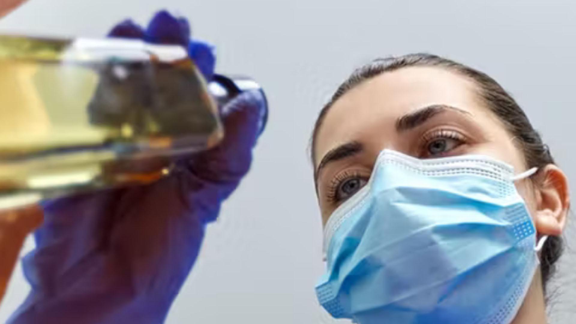 El aceite de oliva se considera uno de los sellos de identidad de la dieta mediterránea