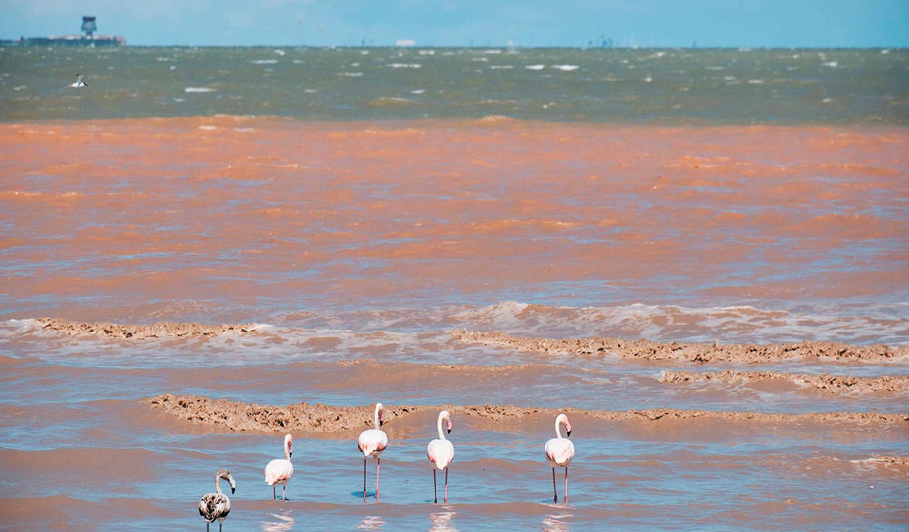 El agua turbia por el fango que llega a la costa