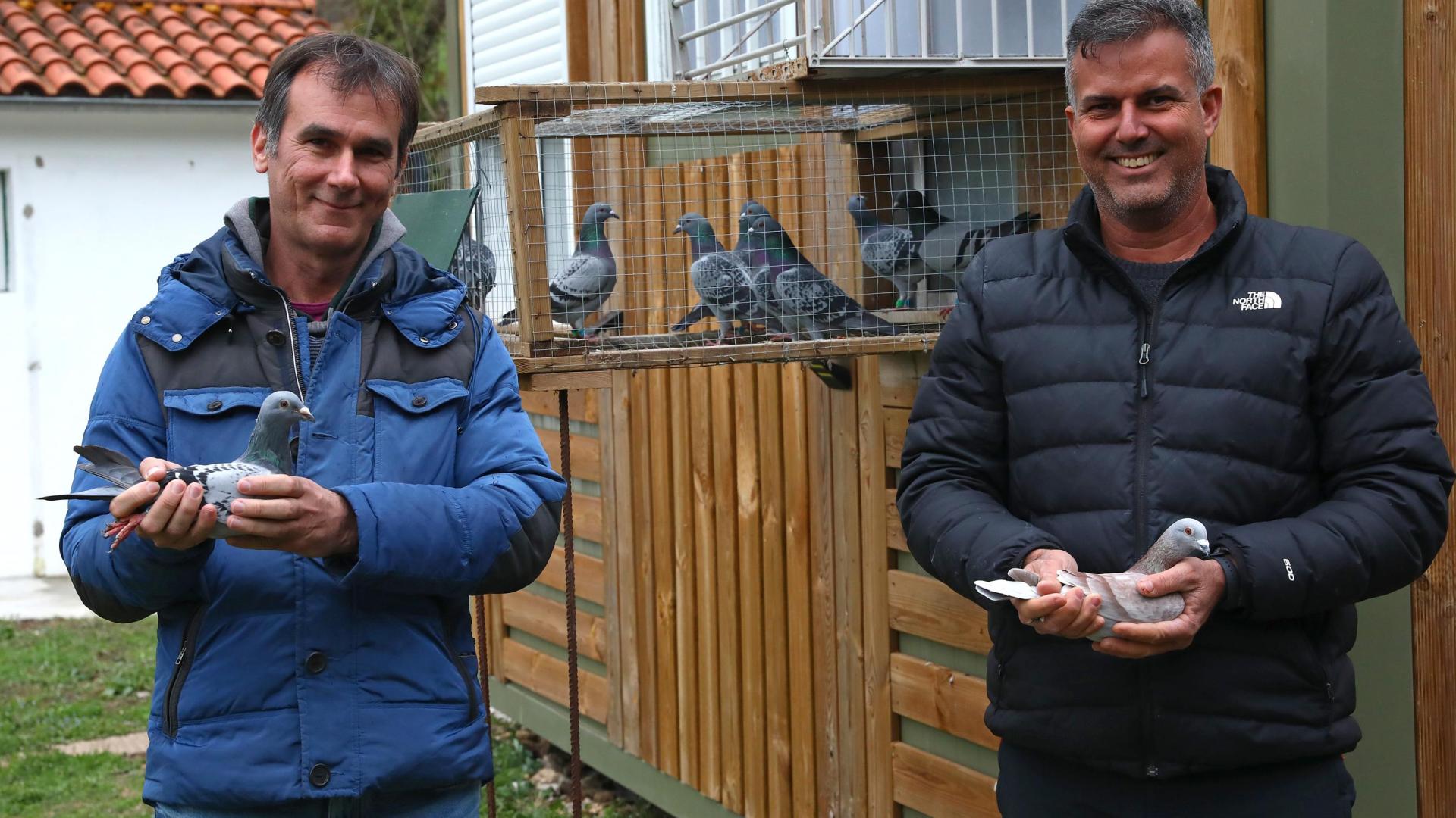 Juan Bello y José Carlos González Alayón, con dos de las palomas mensajeras.