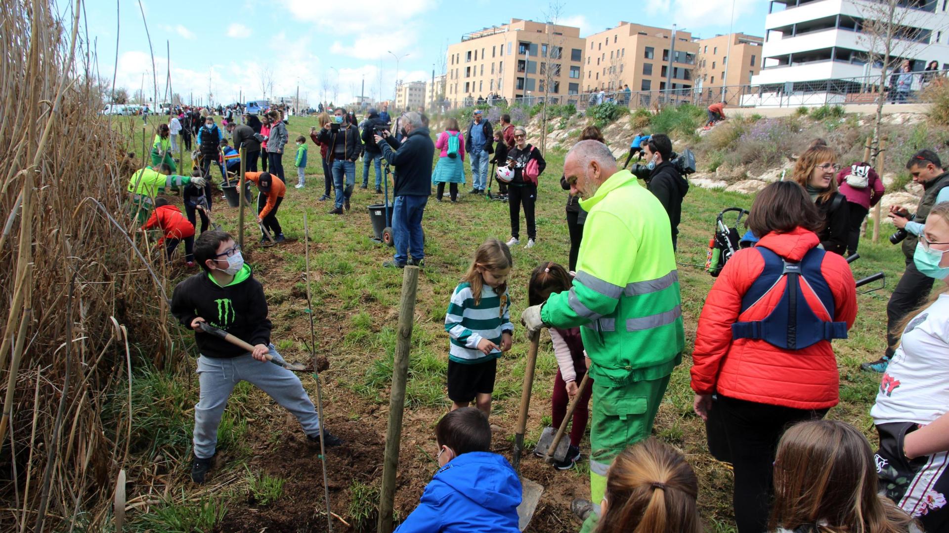 Imagen de la plantación de uno de los árboles en el parque del Queiles.
