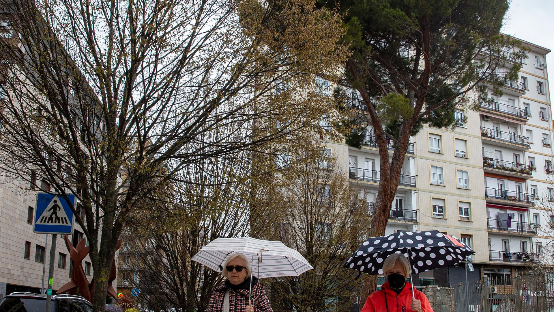 Ejemplares de diferentes tipos en la calle Mayor de Burlada