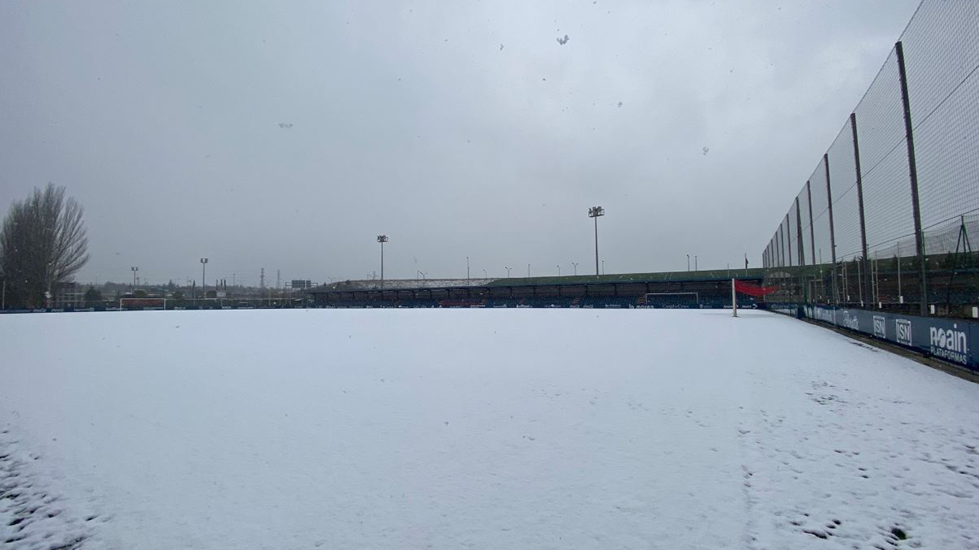 Tajonar bajo la nieve