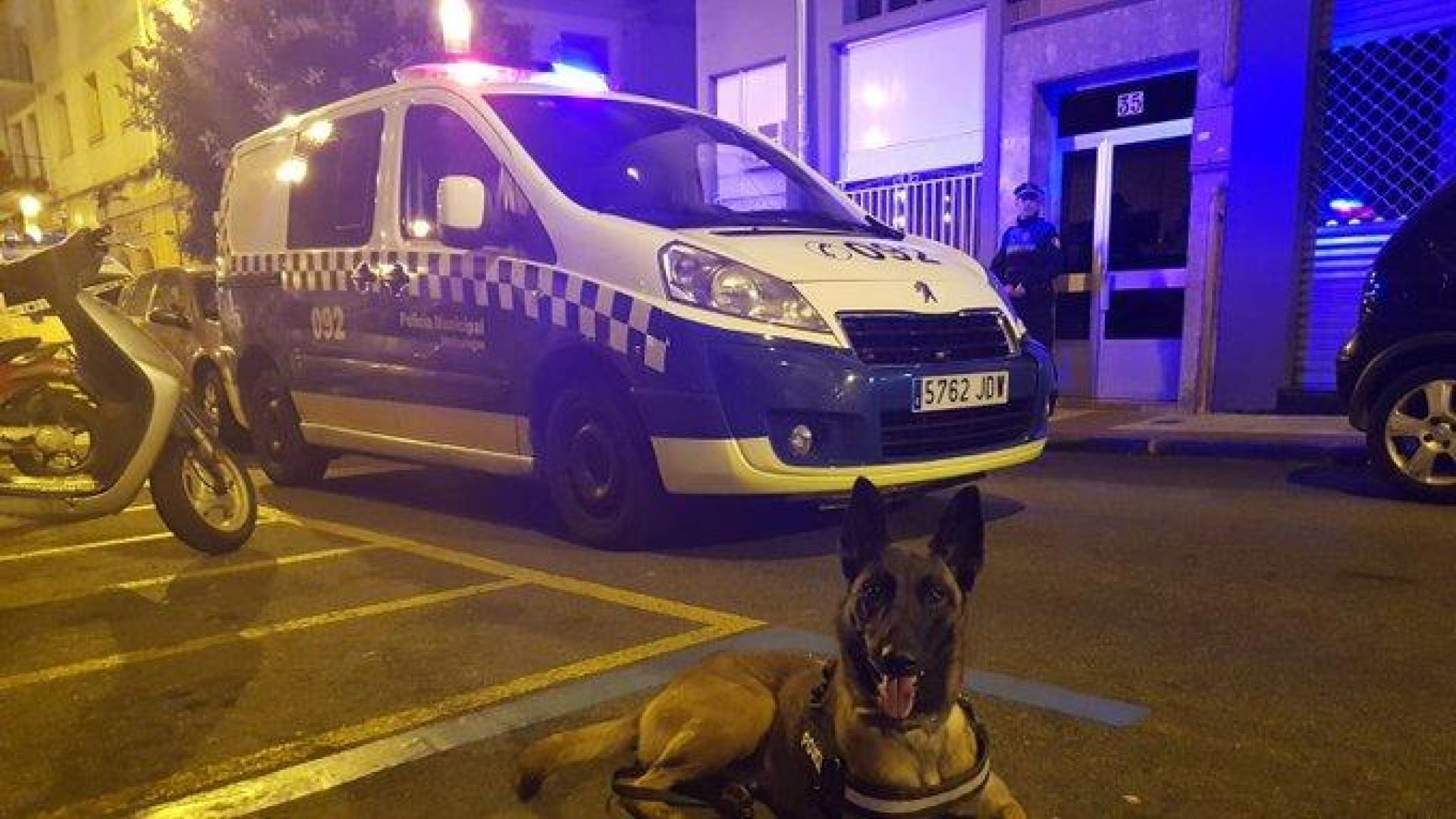 El equipo canino de la Policía Municipal se encarga de los decomisos de droga