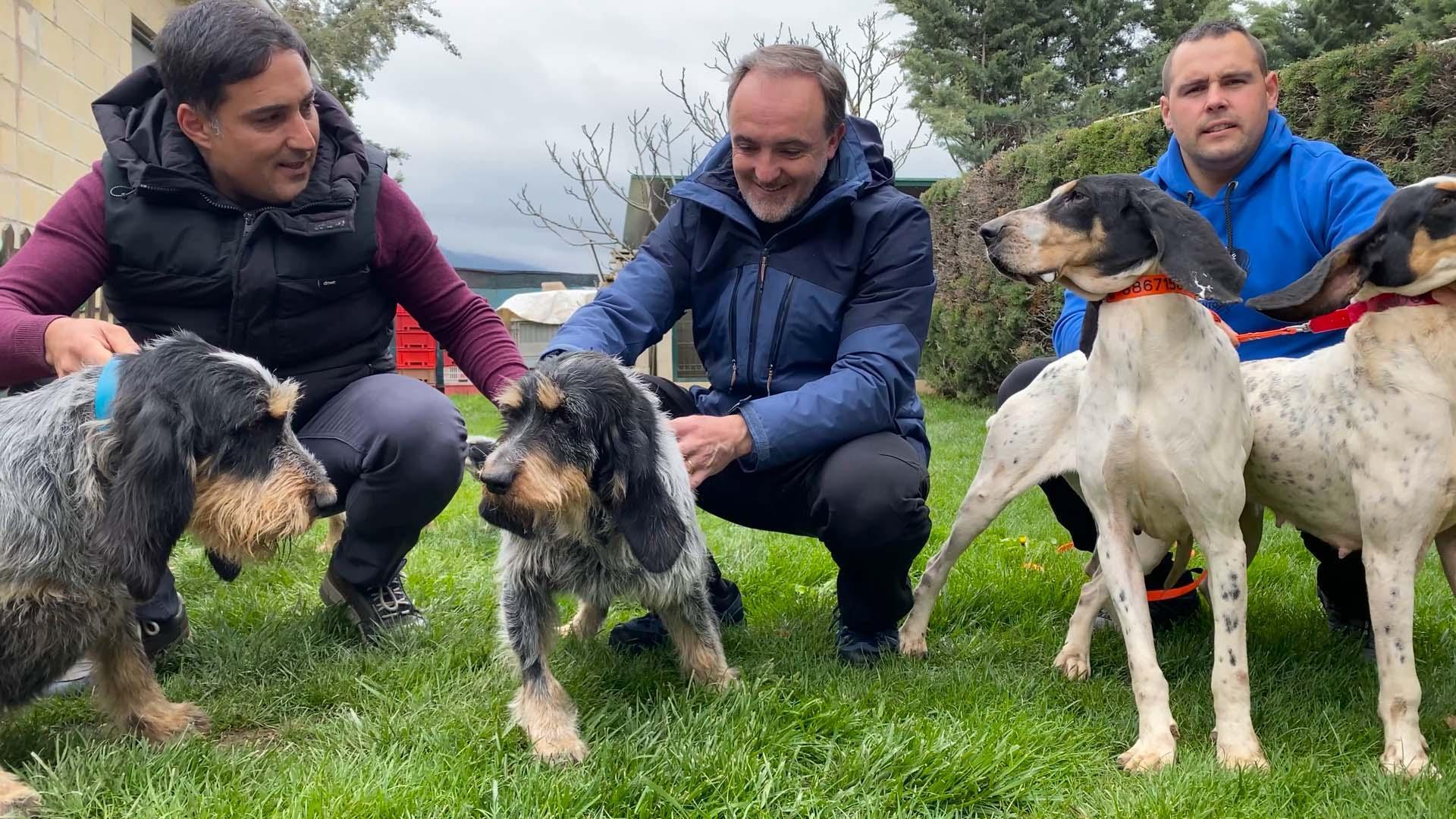 Javier Esparza (UPN), con perros de diferentes razas