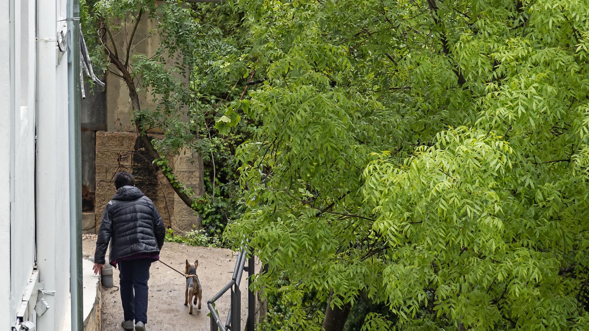 Una persona pasea a su perro por el paseo fluvial del Ega en el barrio de San Miguel