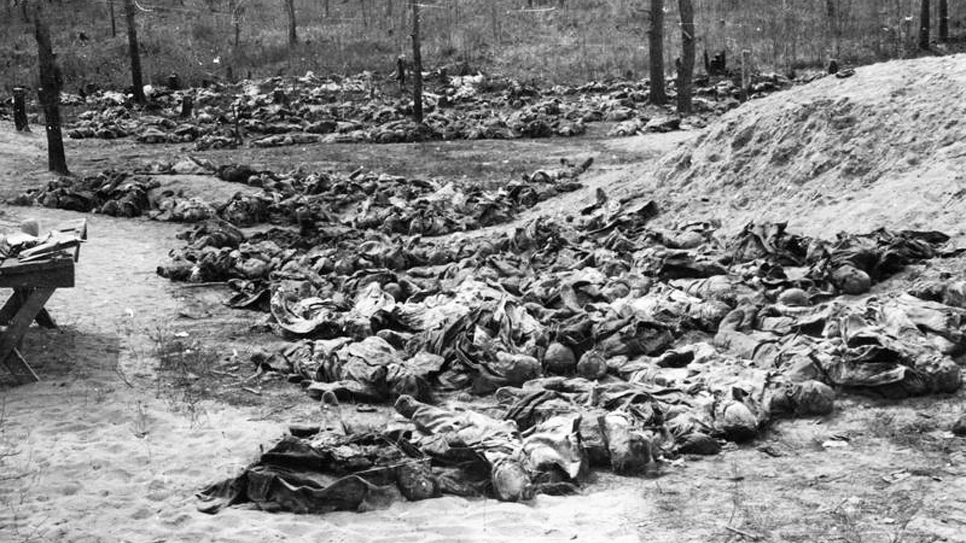 Filas de cuerpos exhumados de oficiales polacos colocados en el suelo junto a las fosas comunes, a la espera de ser examinados en 1943. Los polacos fueron ejecutados en Katyń en 1940