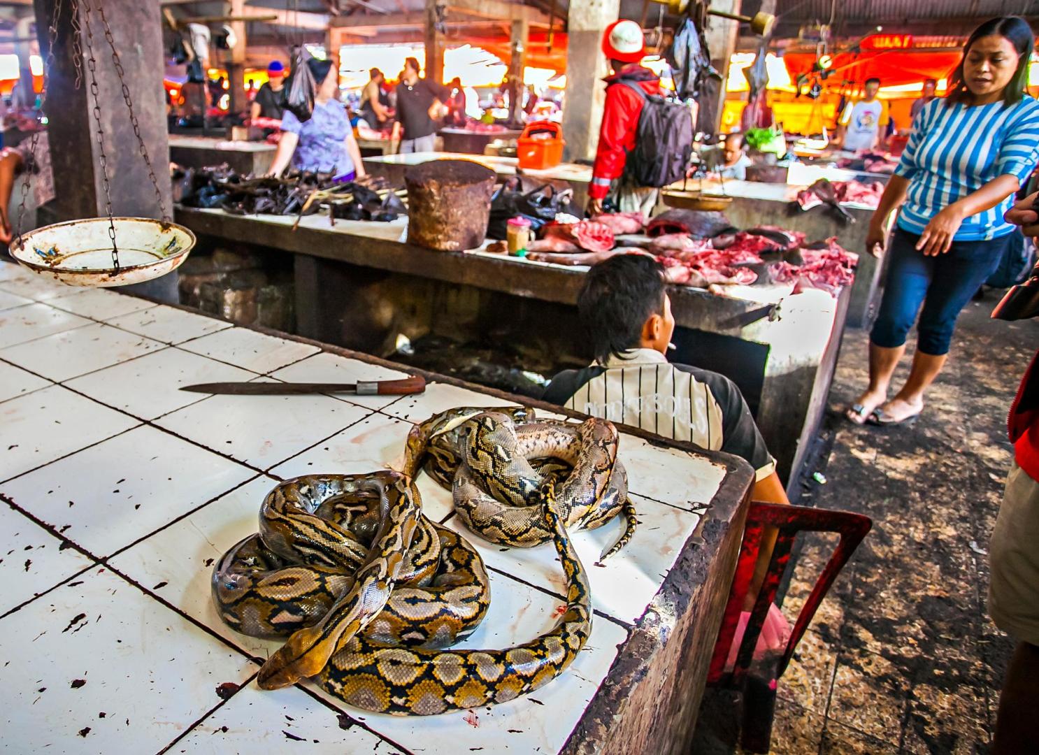 Aspecto del mercado de Tomohon, en Indonesia, donde se comercia con animales salvajes para su consumo