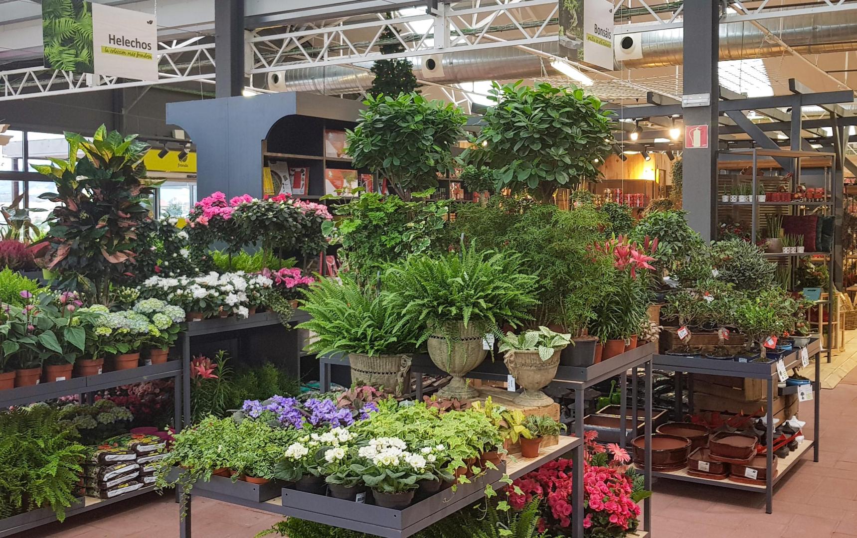 Centro de jardinería de Fronda en Olaz