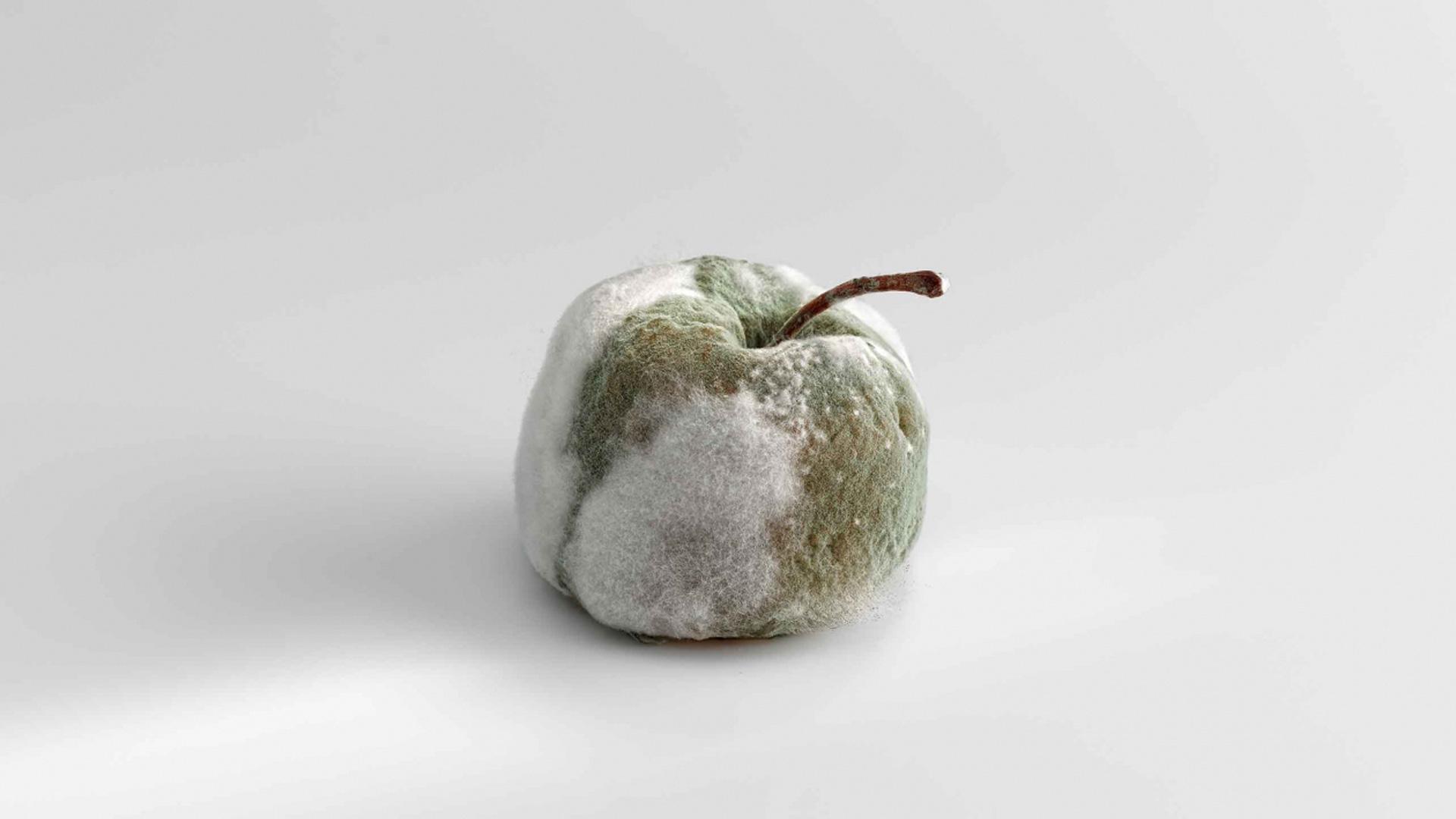 Podredumbres nobles, manzana fermentada con penicillium candidum y penicillium roquefortis, rellena de mermelada de naranja, por Andoni Luis Aduriz
