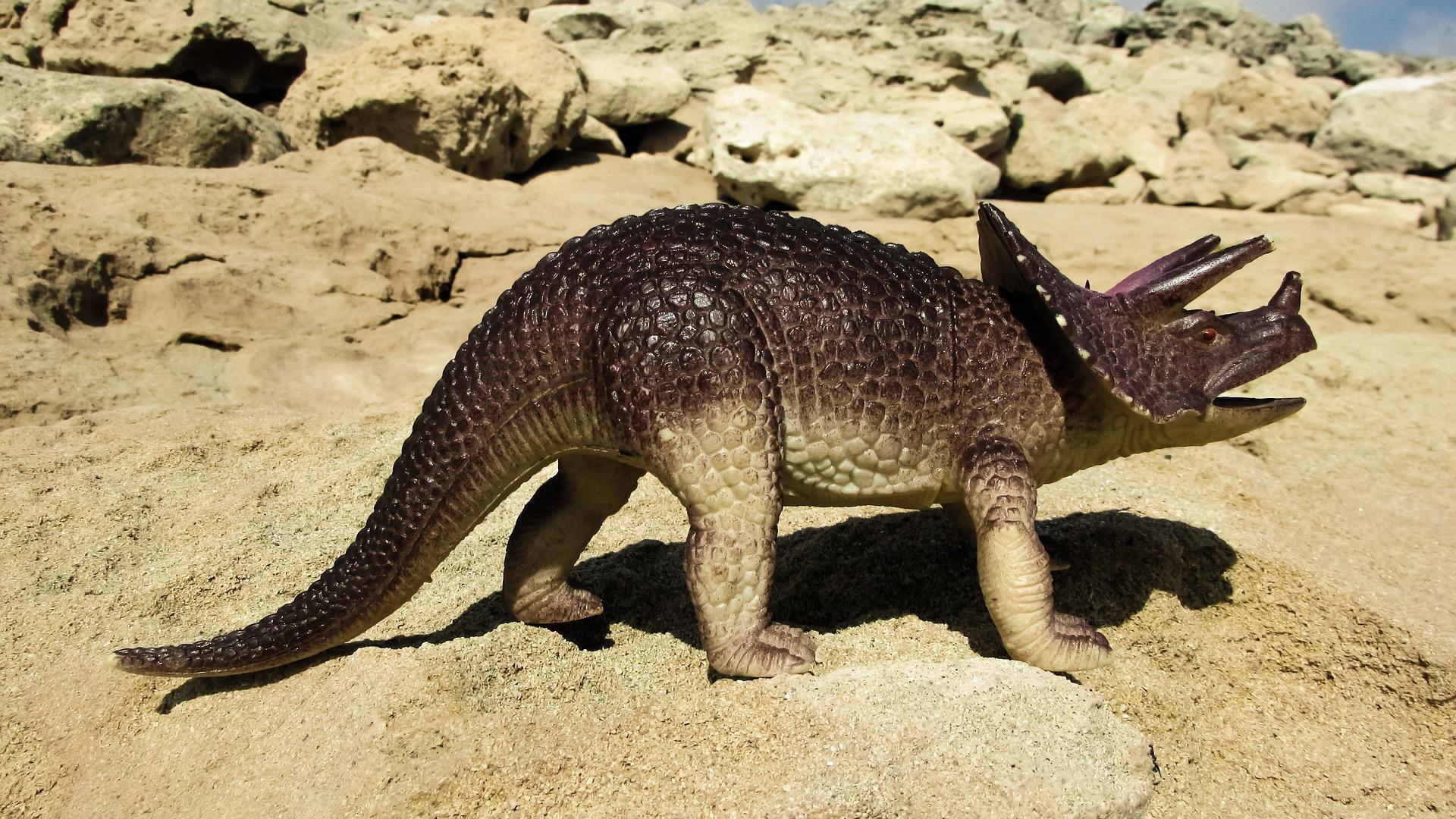 Reproducción de un Triceratops