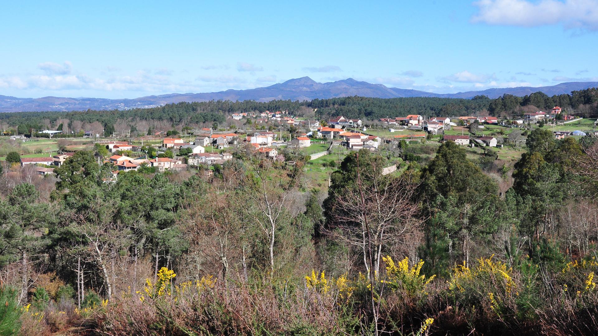 La Comunidad de Montes Veciñais en Man Común de Paraños (Pontevedra) se fundó en enero de 1979