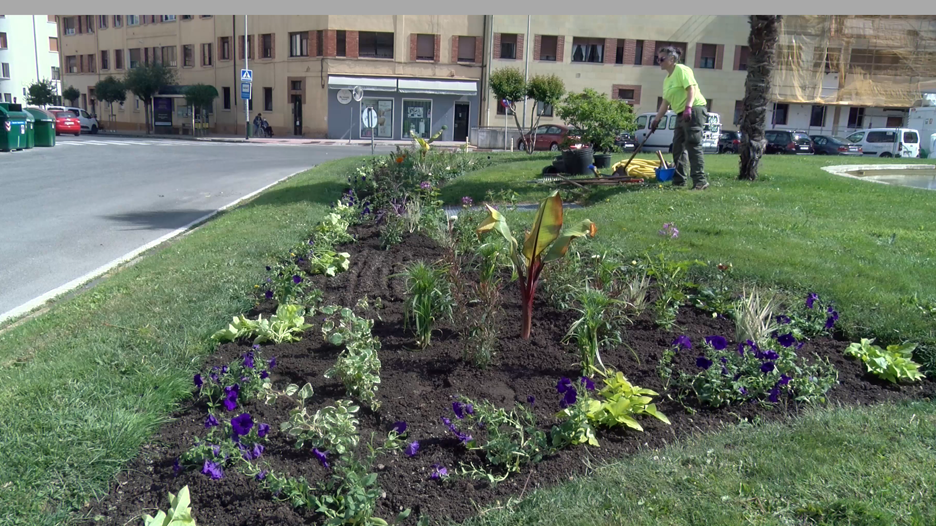 El Ayuntamiento de Pamplona inicia la plantación de parterres