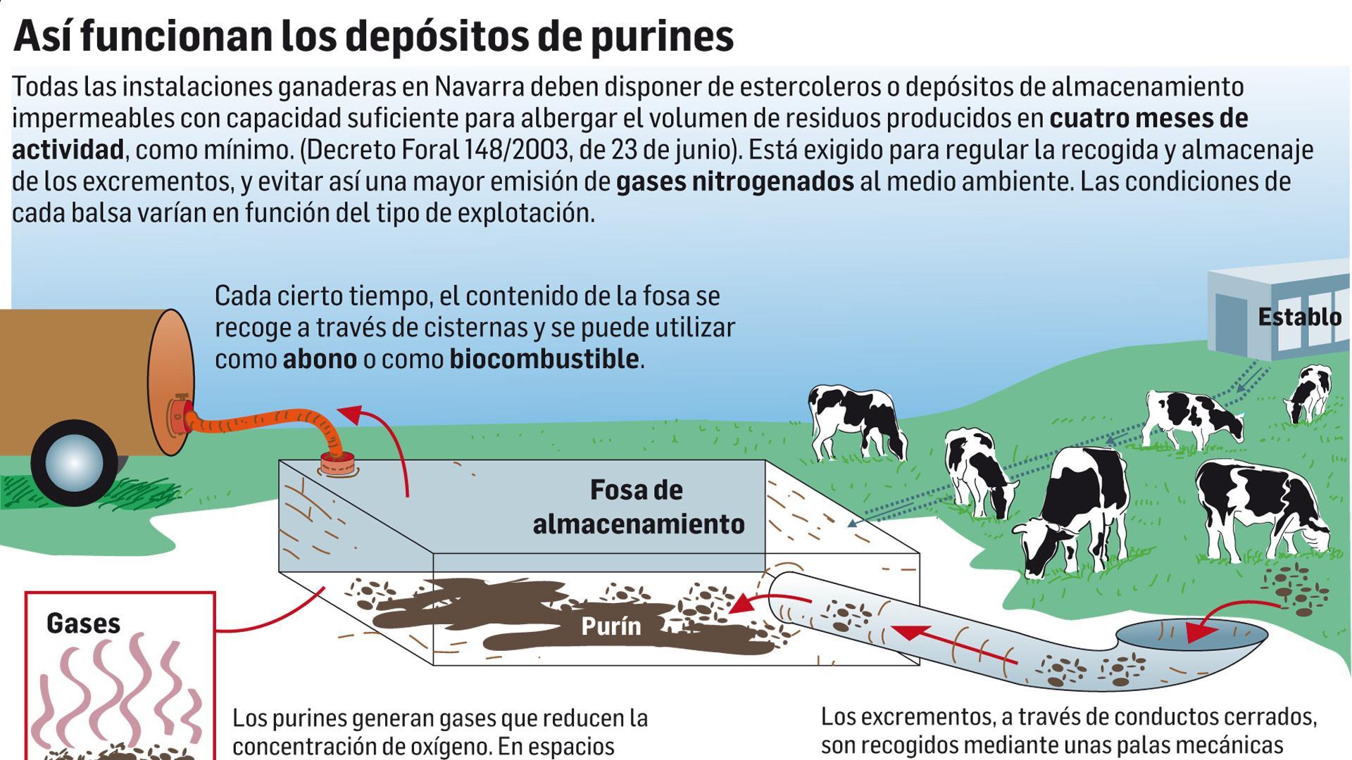 Gráfico de cómo funcionan los depósitos de purines