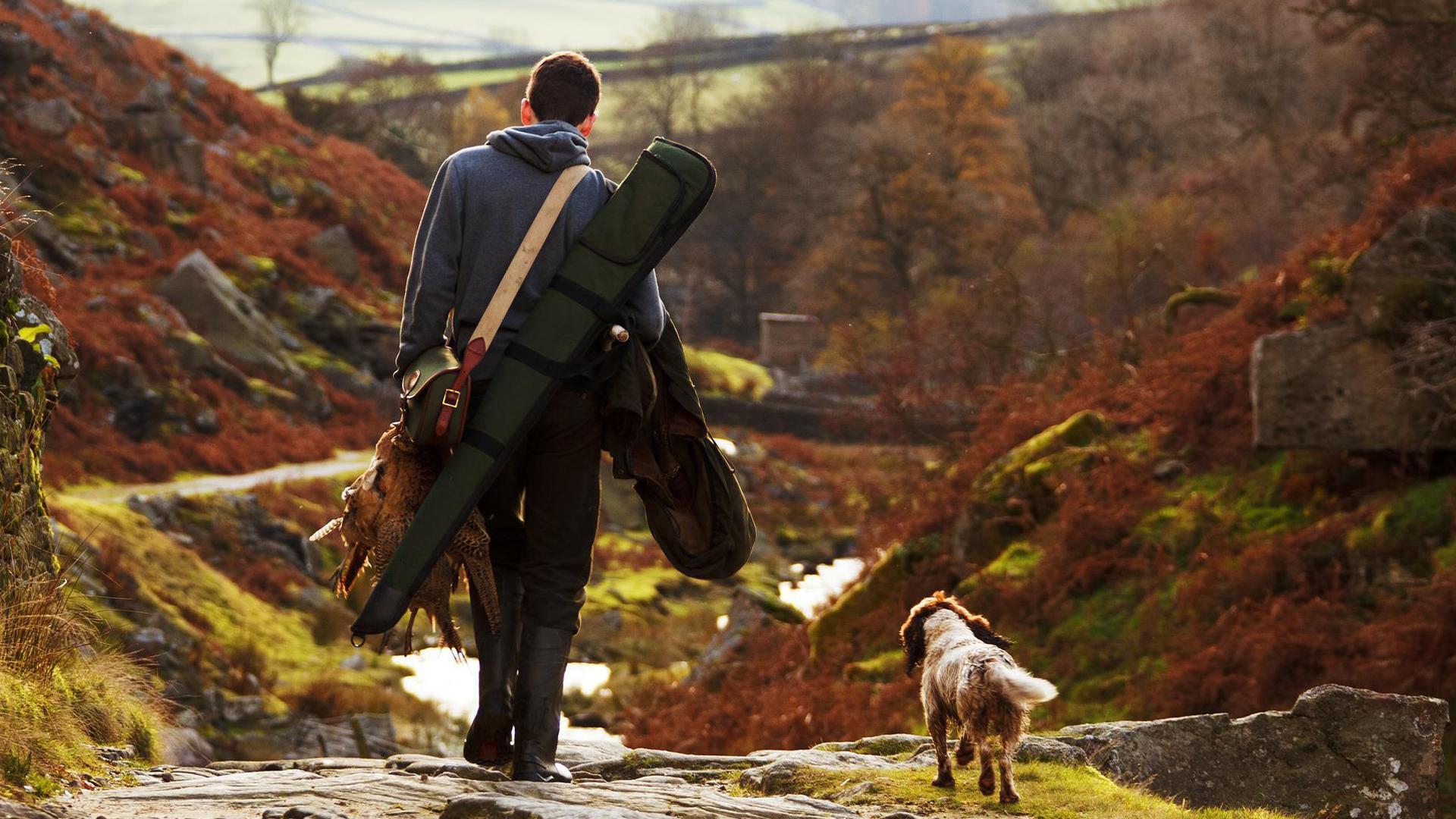 Los cazadores piden abolir la obligación de esterilizar los perros de caza en Navarra