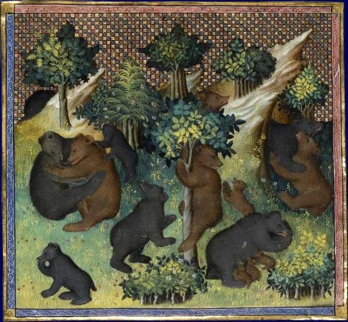 Osos pardos representados en una miniatura de principios del siglo XV del Livre de la Chasse de Gaston Phébus