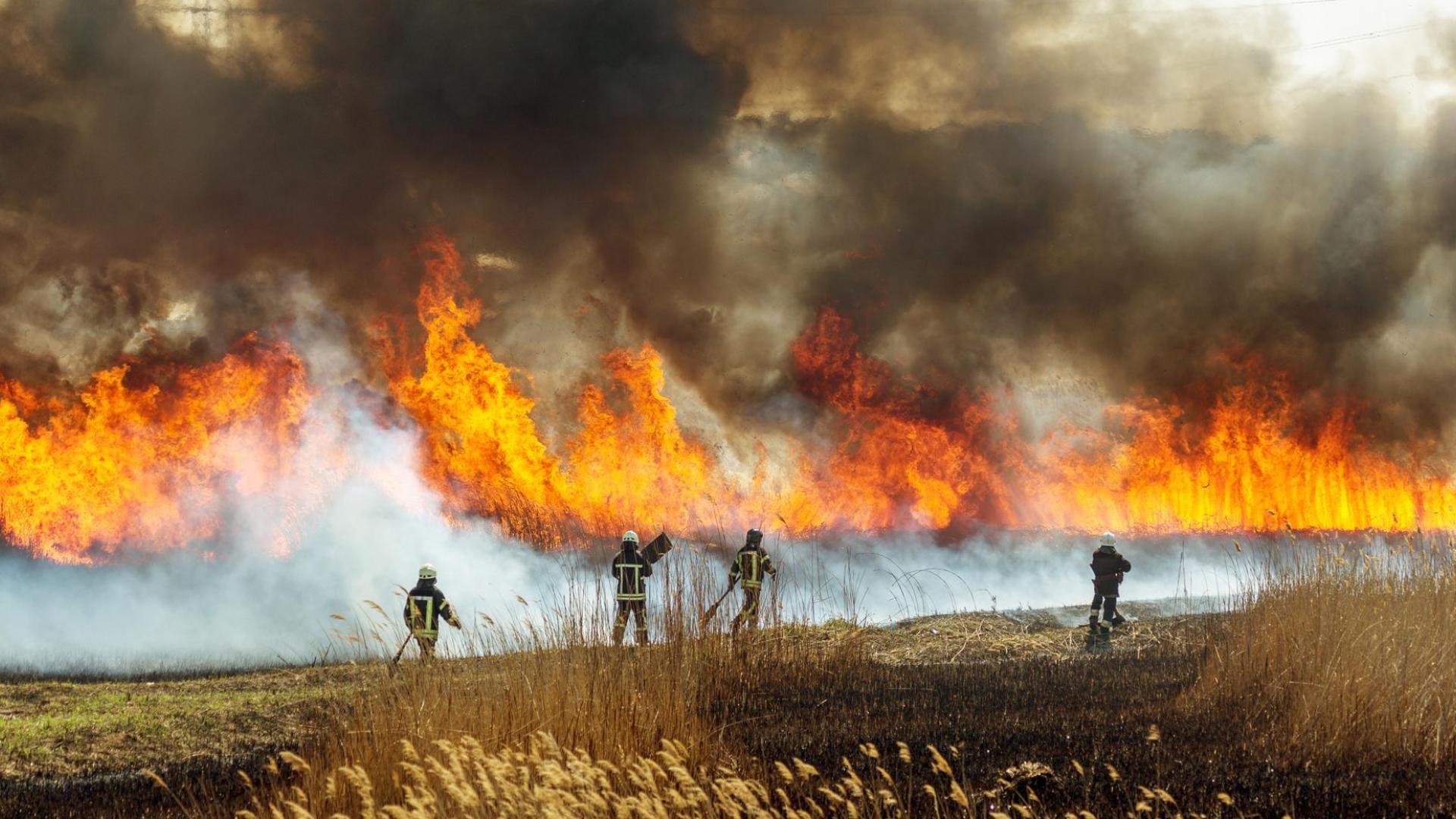 Bomberos, trabajando en un incendio