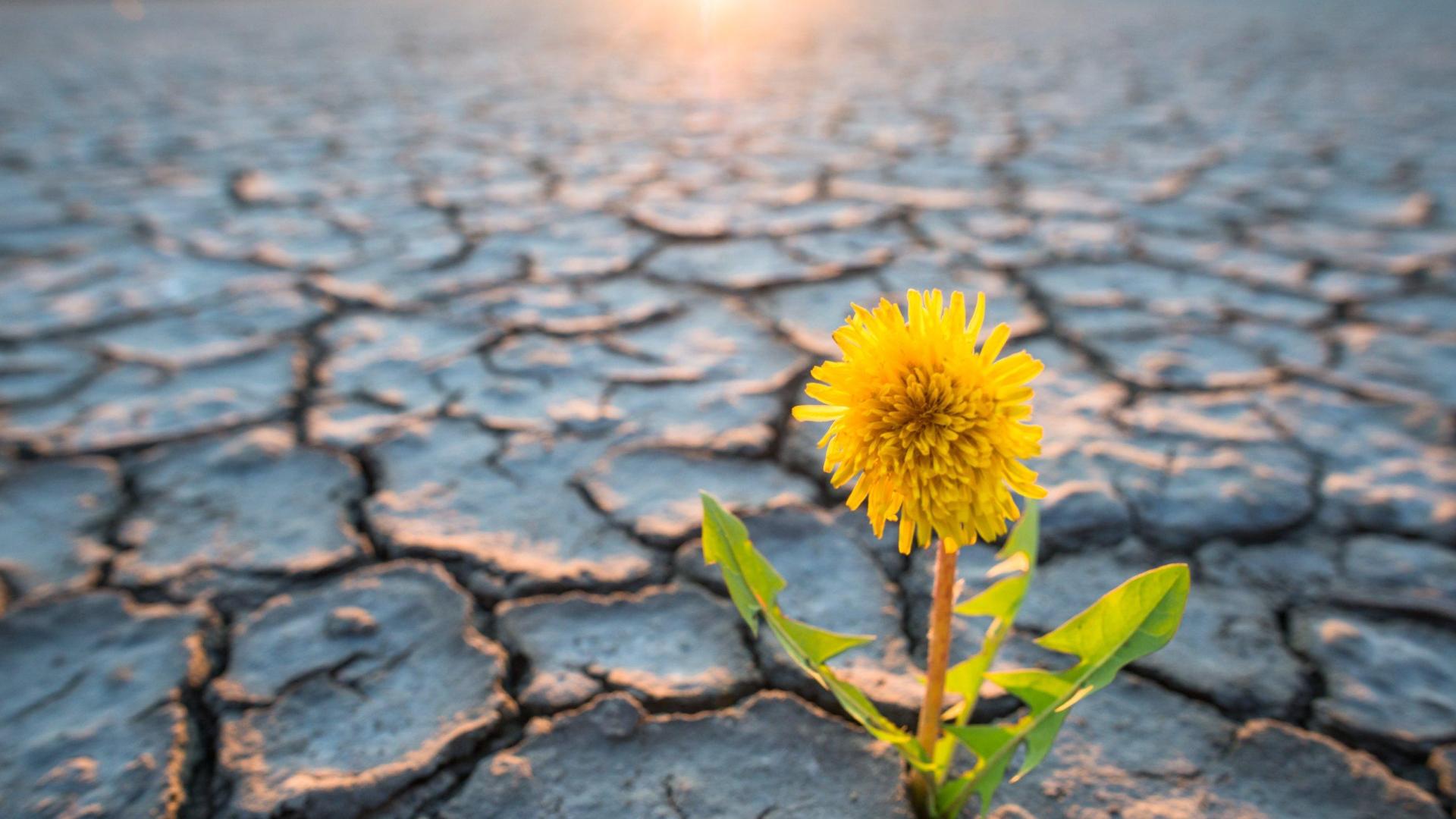 Cambio climático