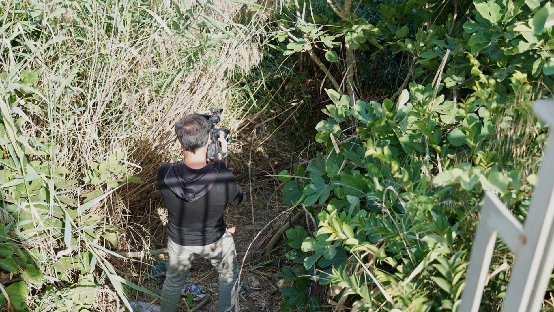 Zona de juncos del río Guadalquivir donde habría sido ocultado el cadáver