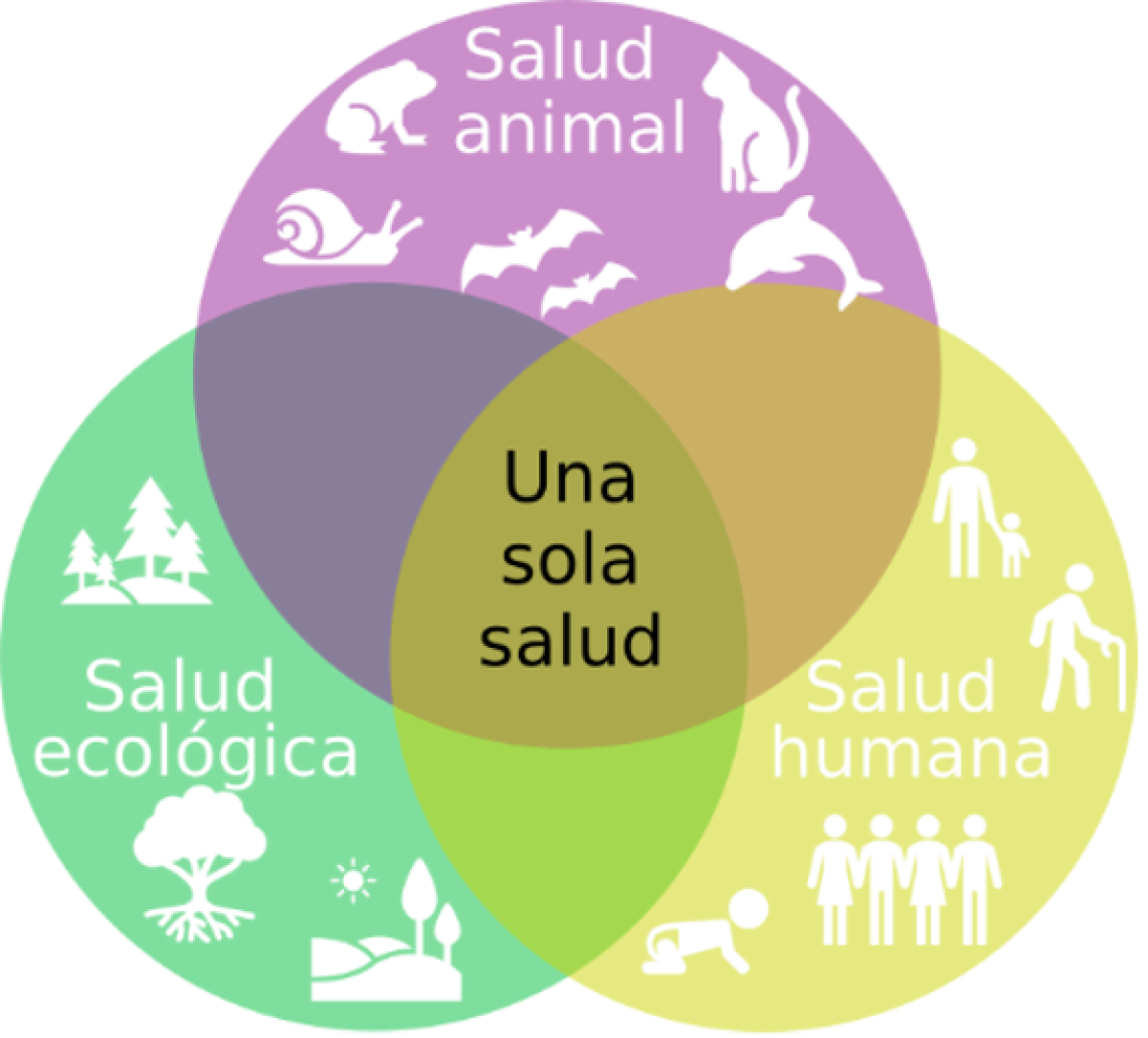 Las tres esferas de la perspectiva Una Sola Salud
