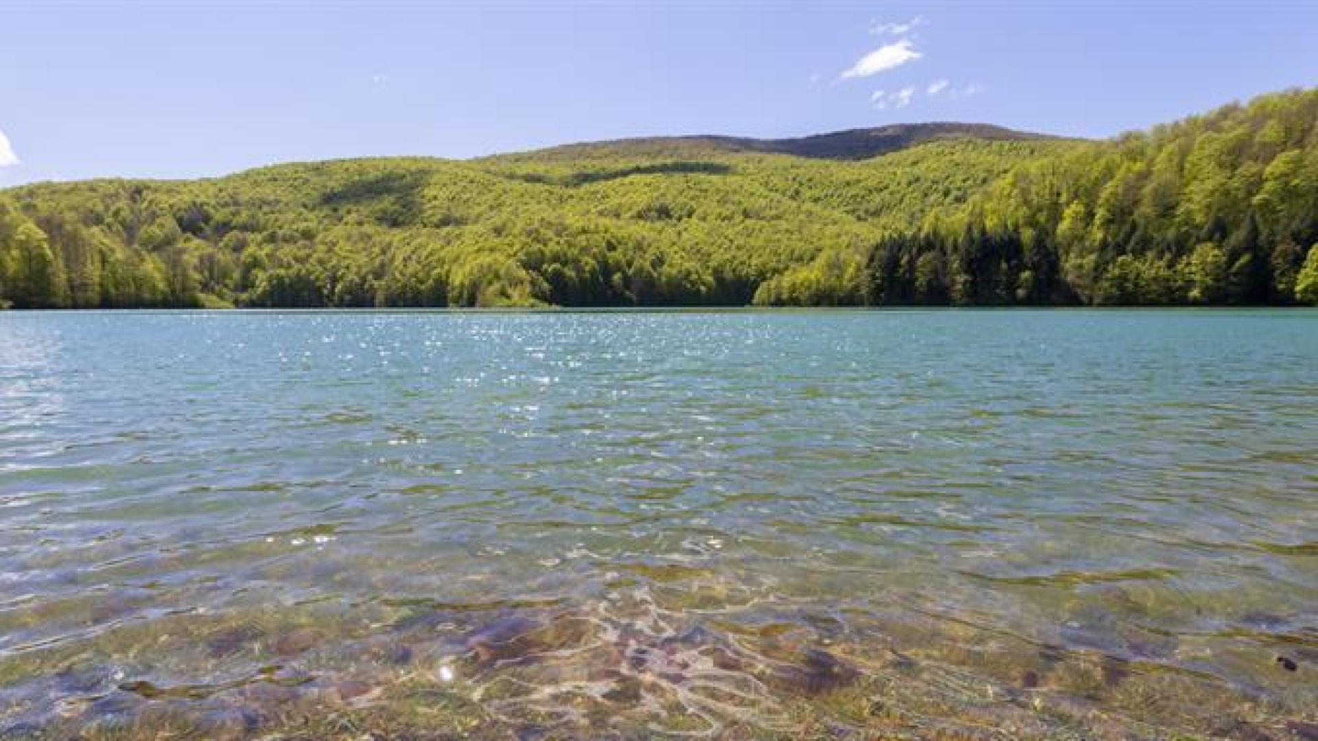 Embalse de Irabia, en el corazón de la Selva de Irati