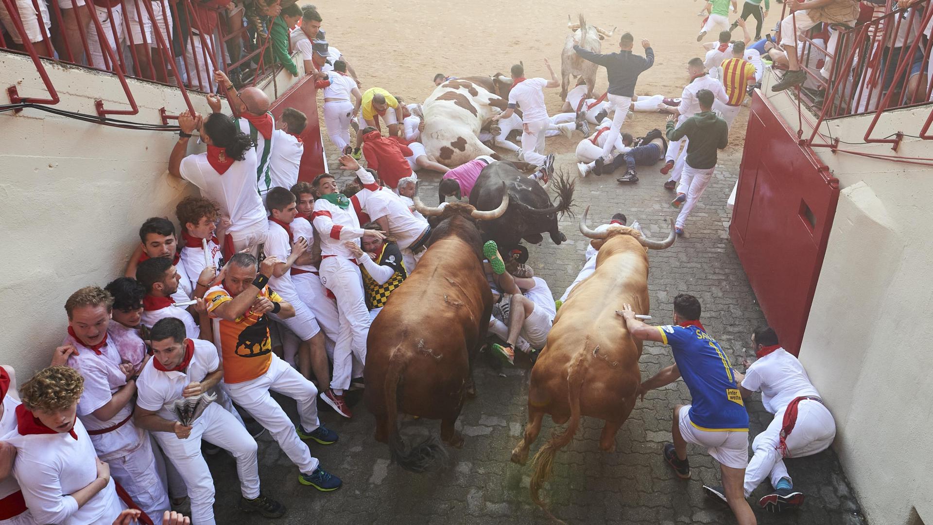 muralla humana Comenzó a formarse en el lateral izquierdo del callejón para obstaculizar la entrada de la manada en el coso.