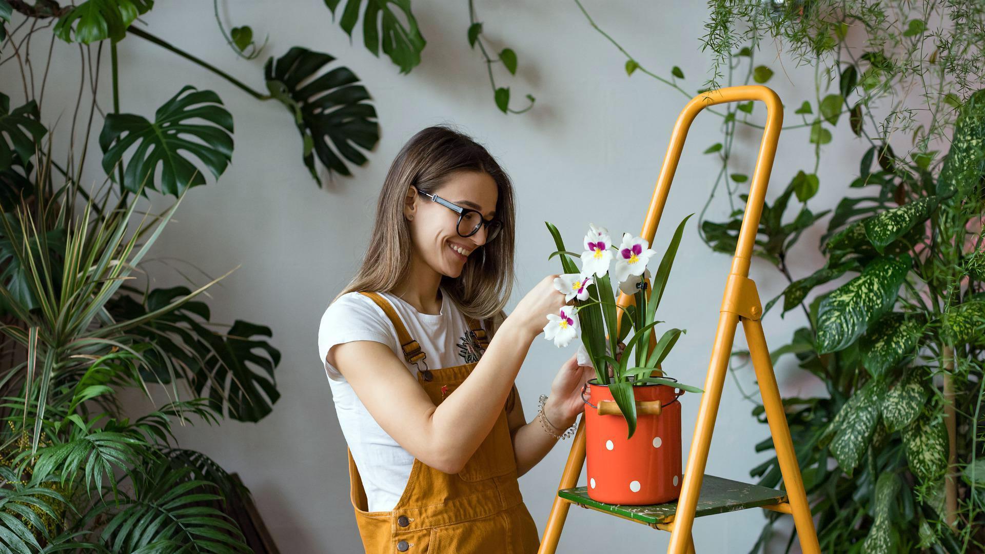 Una mujer, cuidando unas plantas