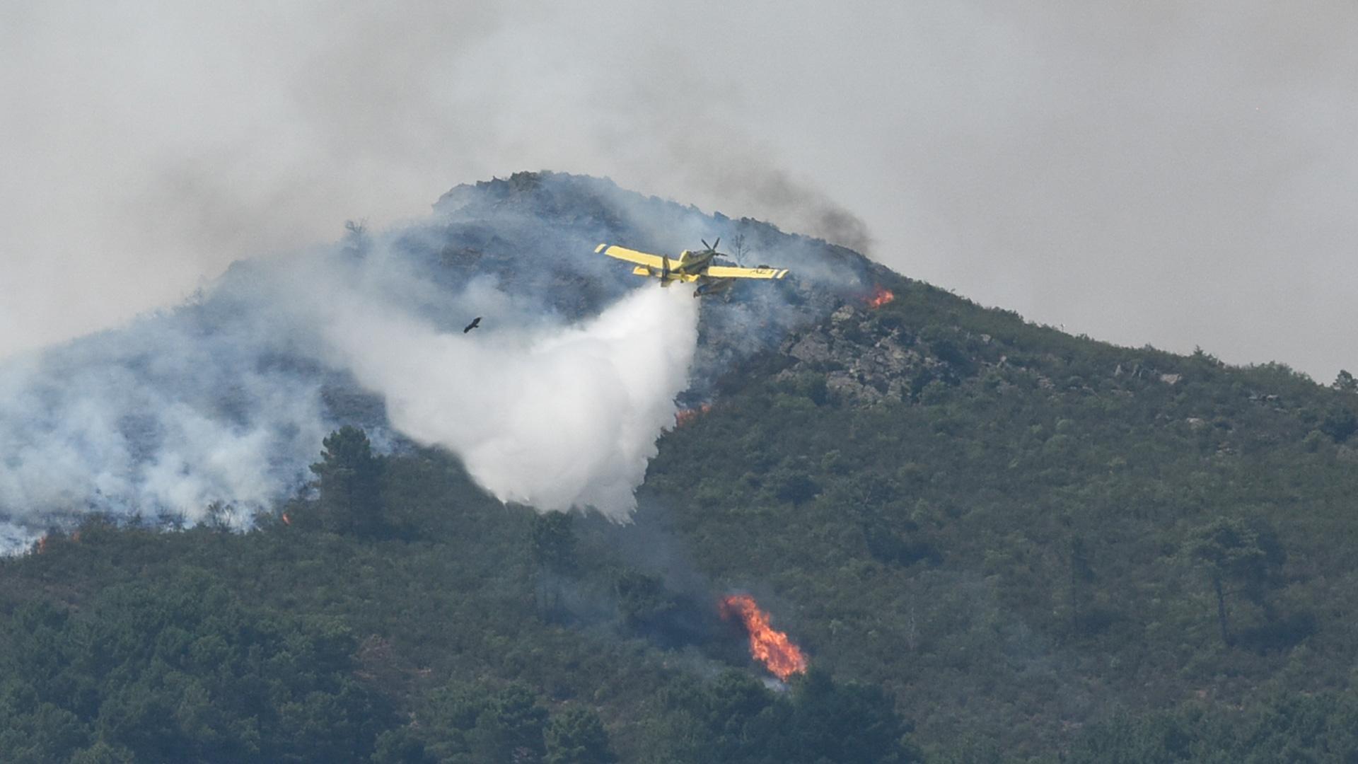 Un hidroavión anfibio contra incendios echa agua sobre la vegetación en la comarca de Las Hurdes