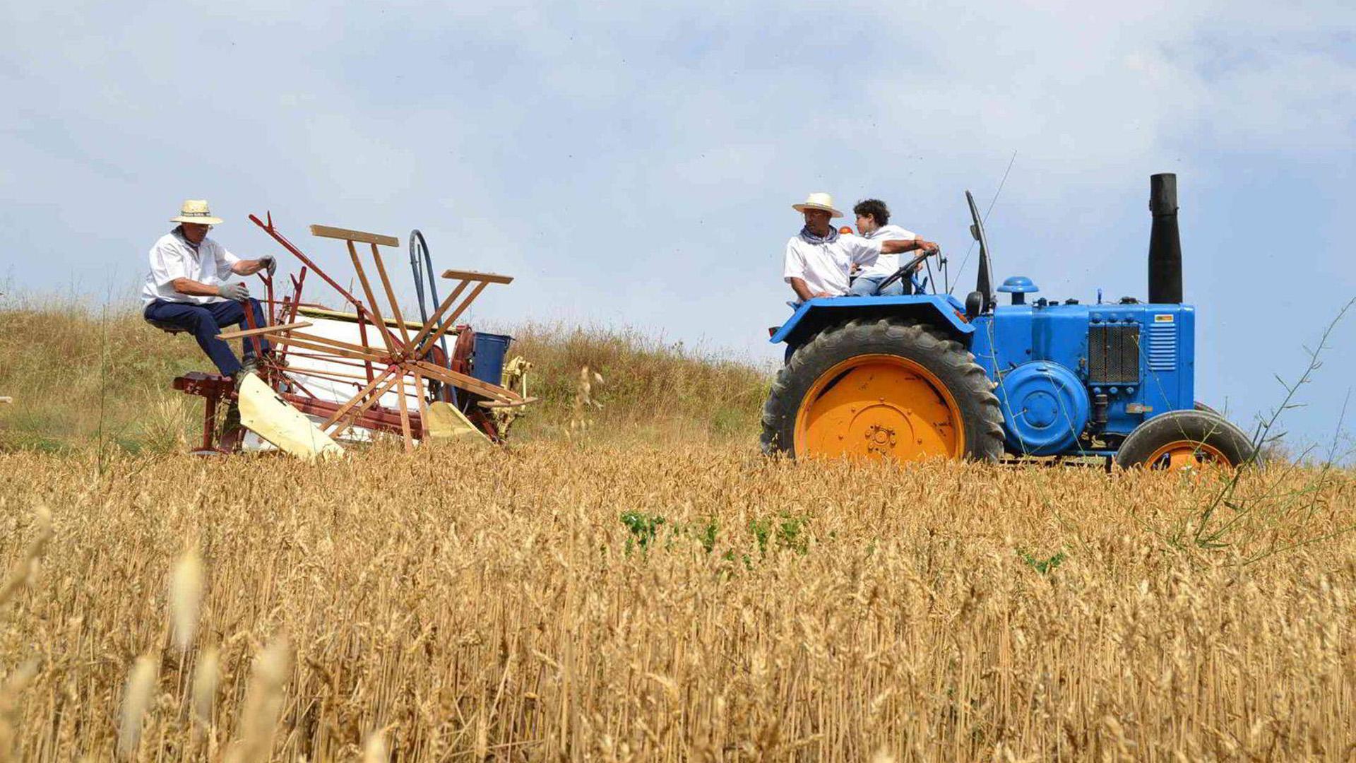 Miranda de Arga regresa al pasado para recuperar oficios de antaño, incluido el trabajo tradicional agrícola