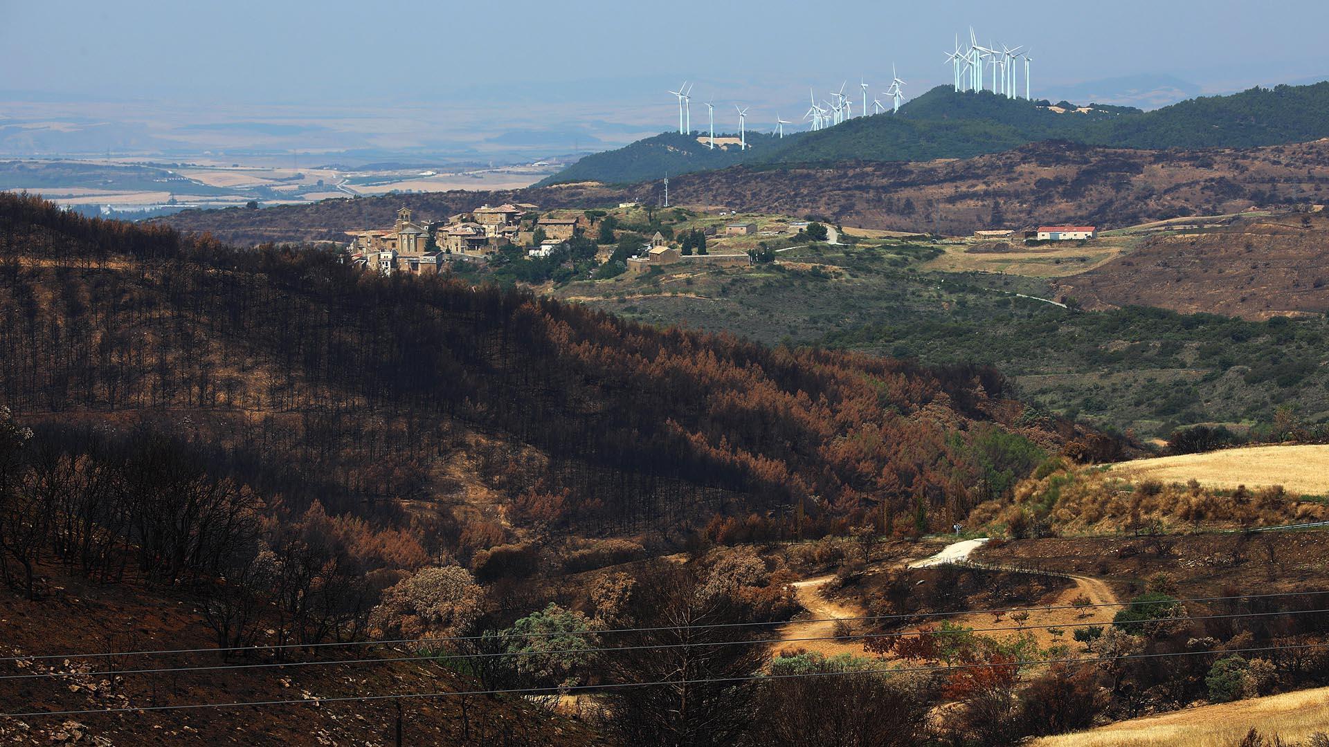 Los incendios, un mes después: San Martín de Unx./