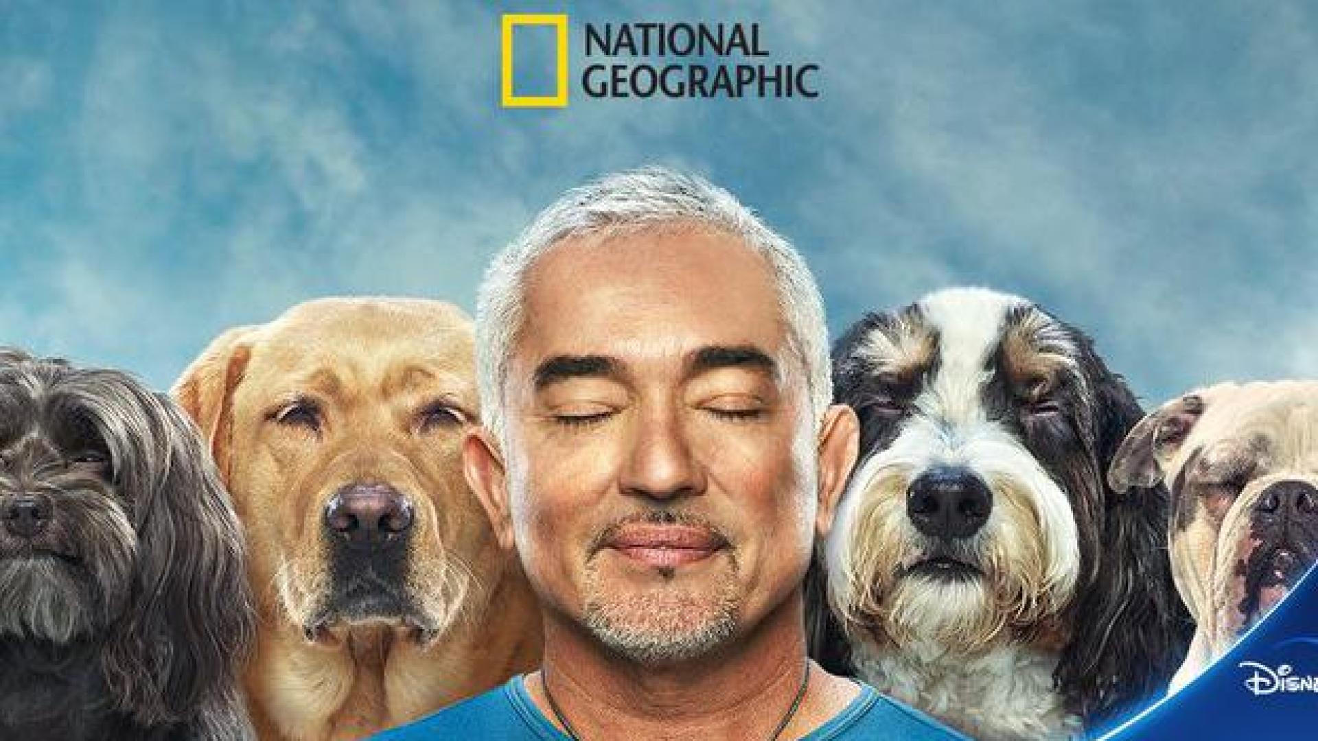 César Millán se pone al frente de 'Mejor humano, mejor perro'