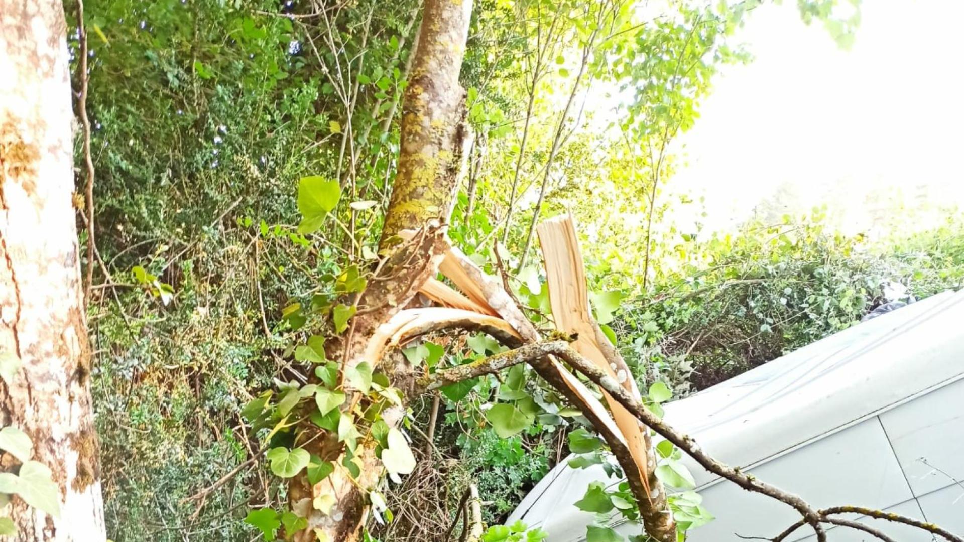 Imagen del estado en el que ha quedado la furgoneta donde viajaban los dos trasladados