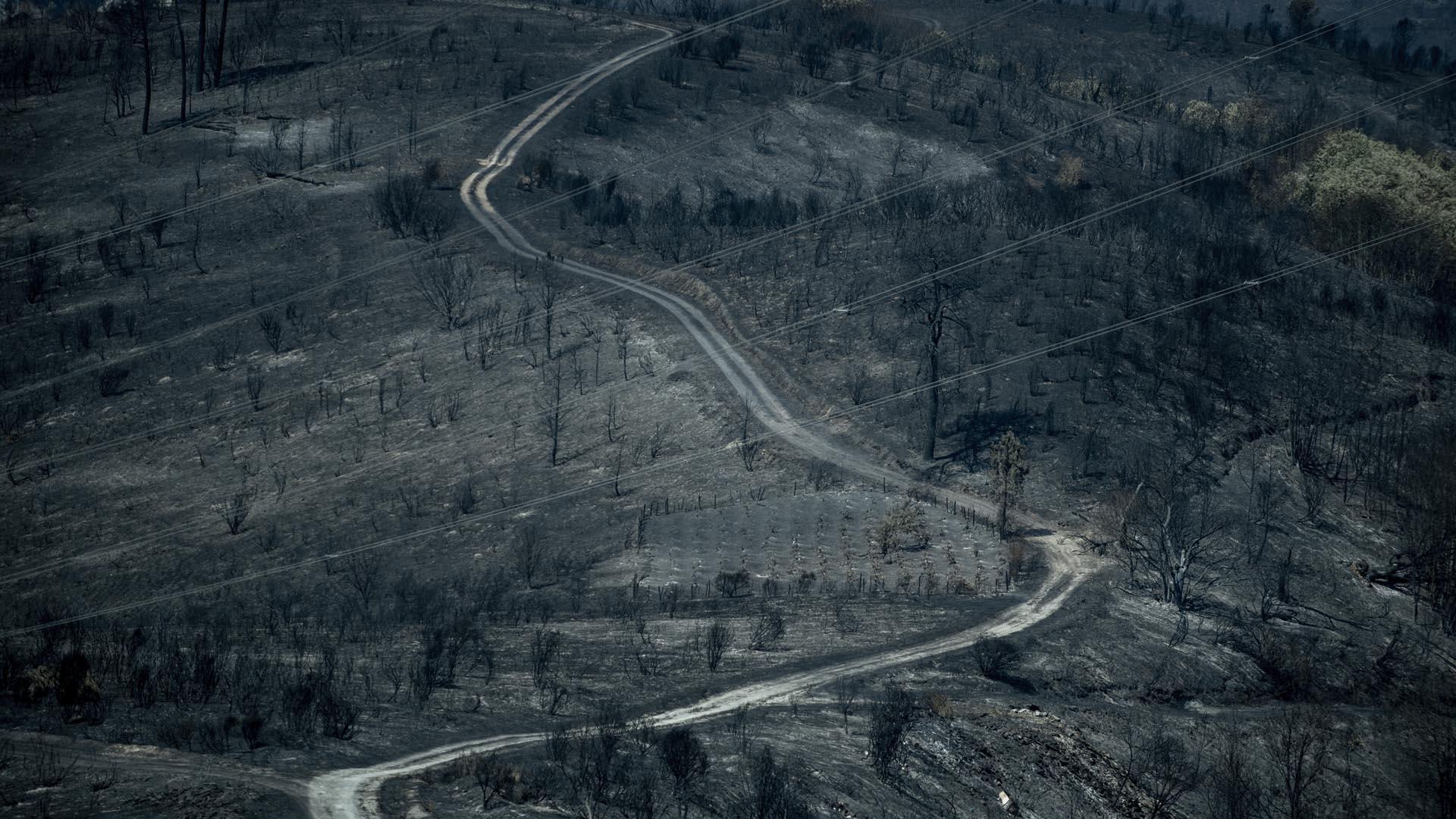 Monte y vegetación completamente calcinados tras el incendio acontecido en O Barco de Valdeorras, en Ourense, este jueves