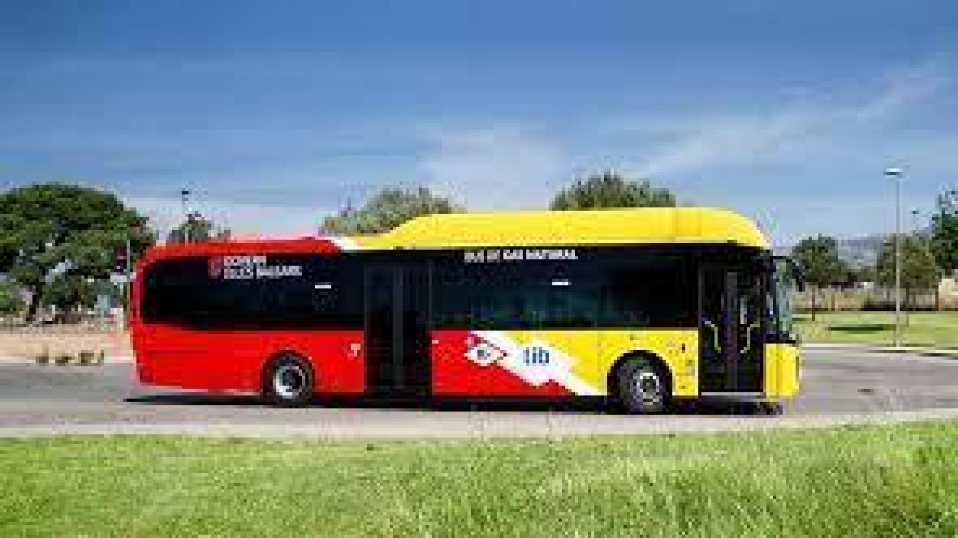 Imagen de un autobús de la red de Transporte de Baleares (TIB)
