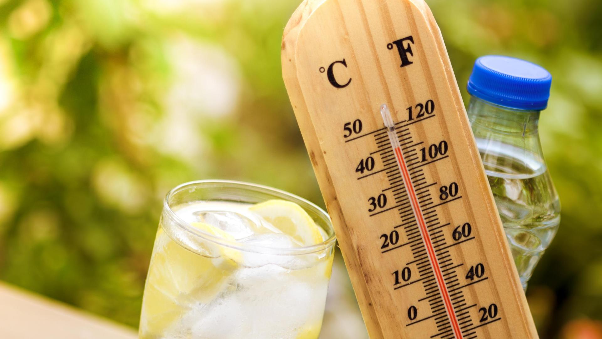 Día caluroso de verano