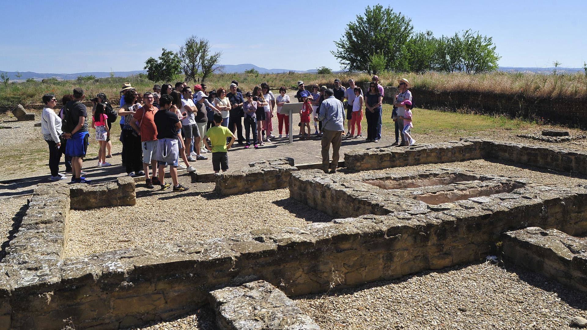 Visita guiada a la ciudad romana de Andelos