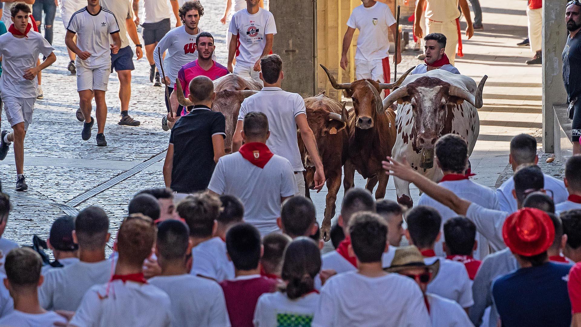 La manada encara la plaza de Santiago en un encierro de las fiestaa de Estella 2022