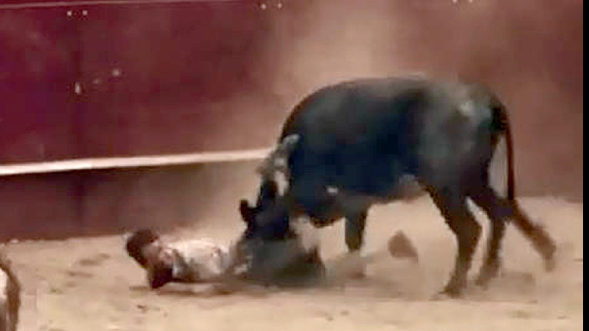 Instante en el que la vaca embiste al herido