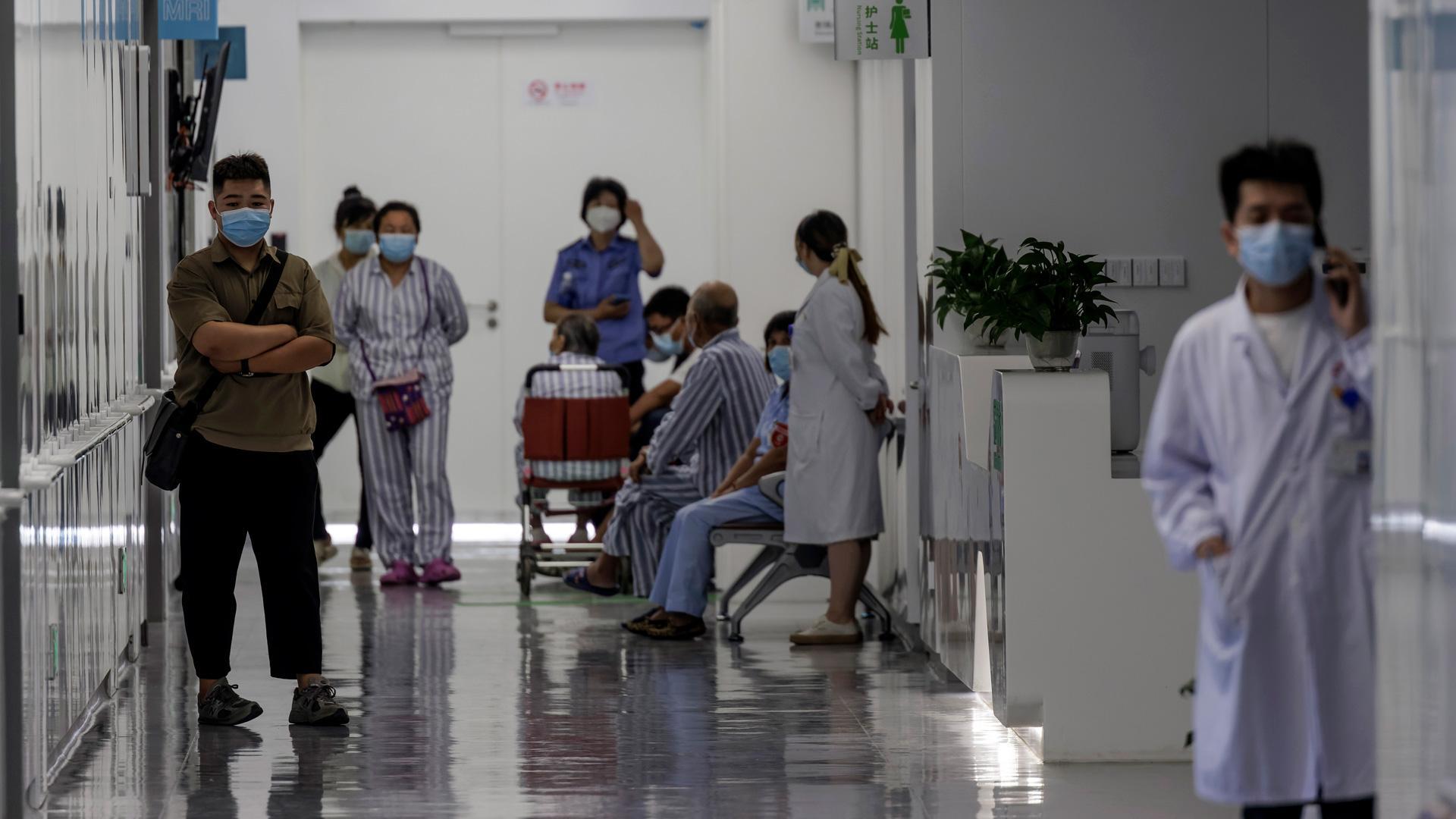 Se han detectado en dos provincias chinas 35 contagios en humanos de un nuevo virus de origen animal del tipo Henipavirus
