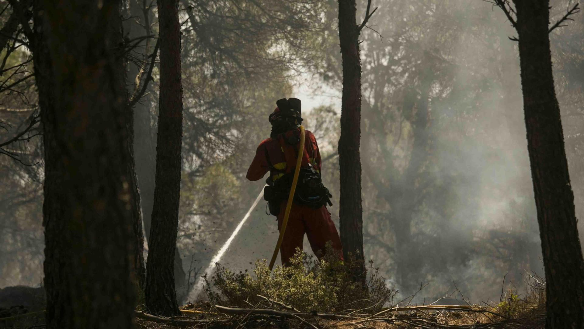 Miembros de la Unidad Militar de Emergencias (UME) trabajan en la extinción de un incendio en la localidad de Borja (Zaragoza)
