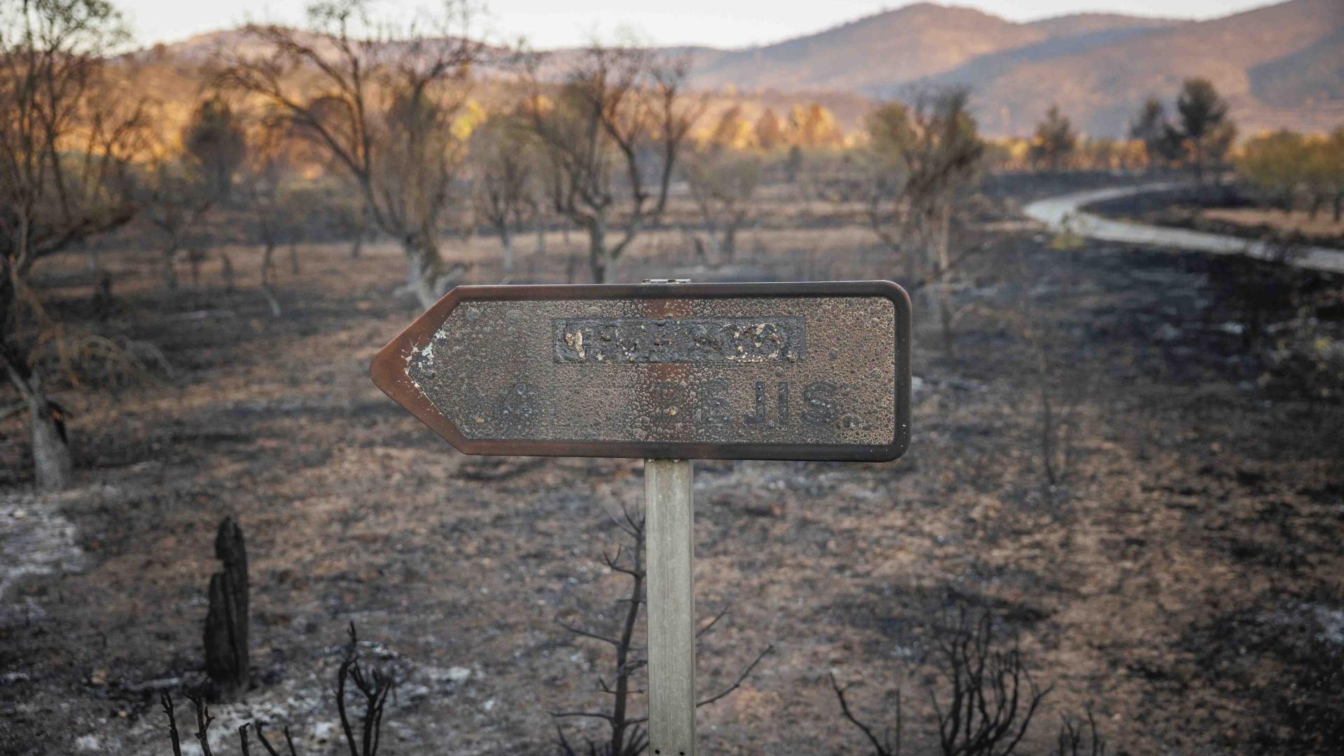 El Toro (Castellón) por el incendio forestal que se declaró en el término municipal de Bejís