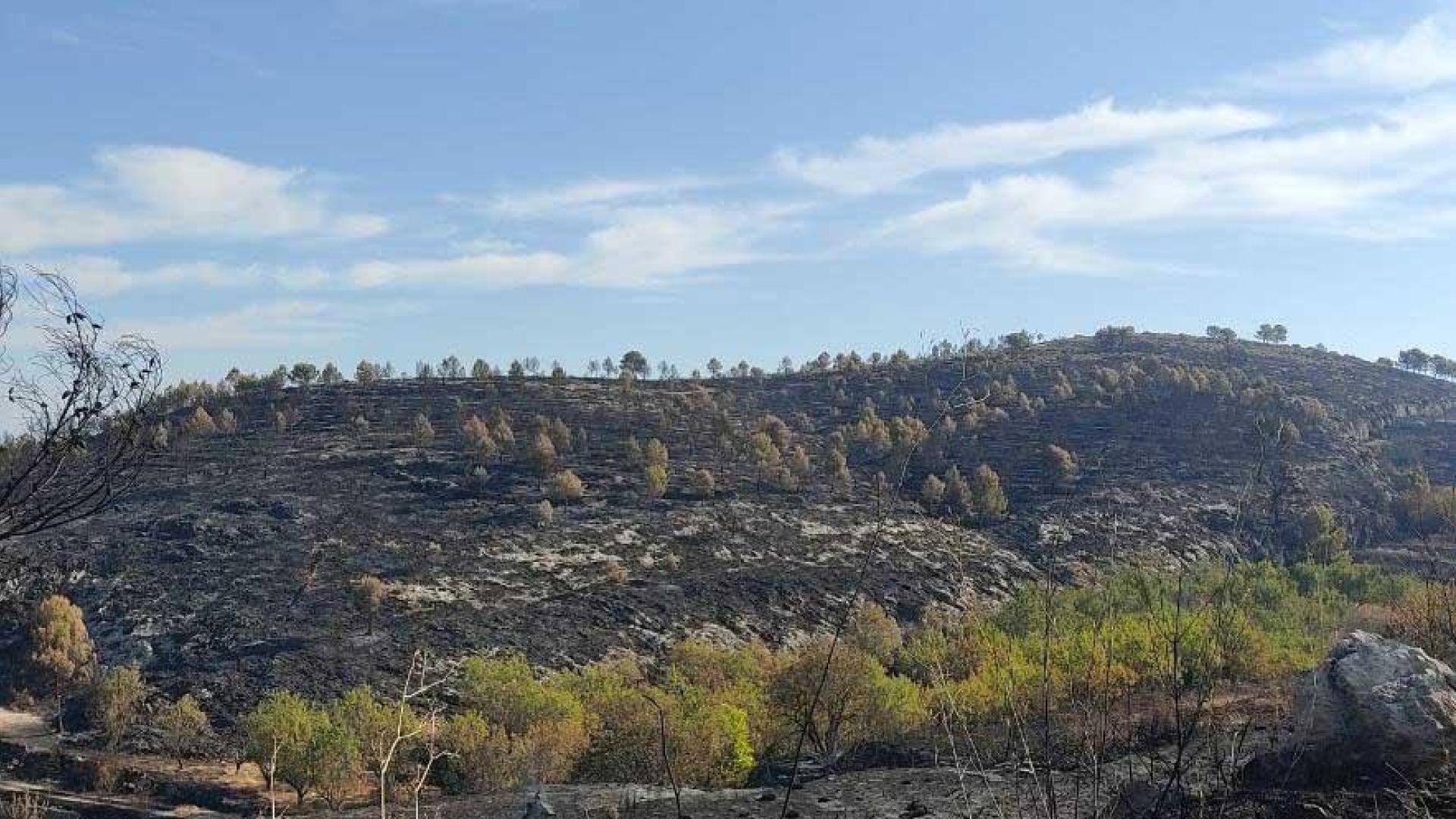 Estado en el que ha quedado la zona tras el incendio