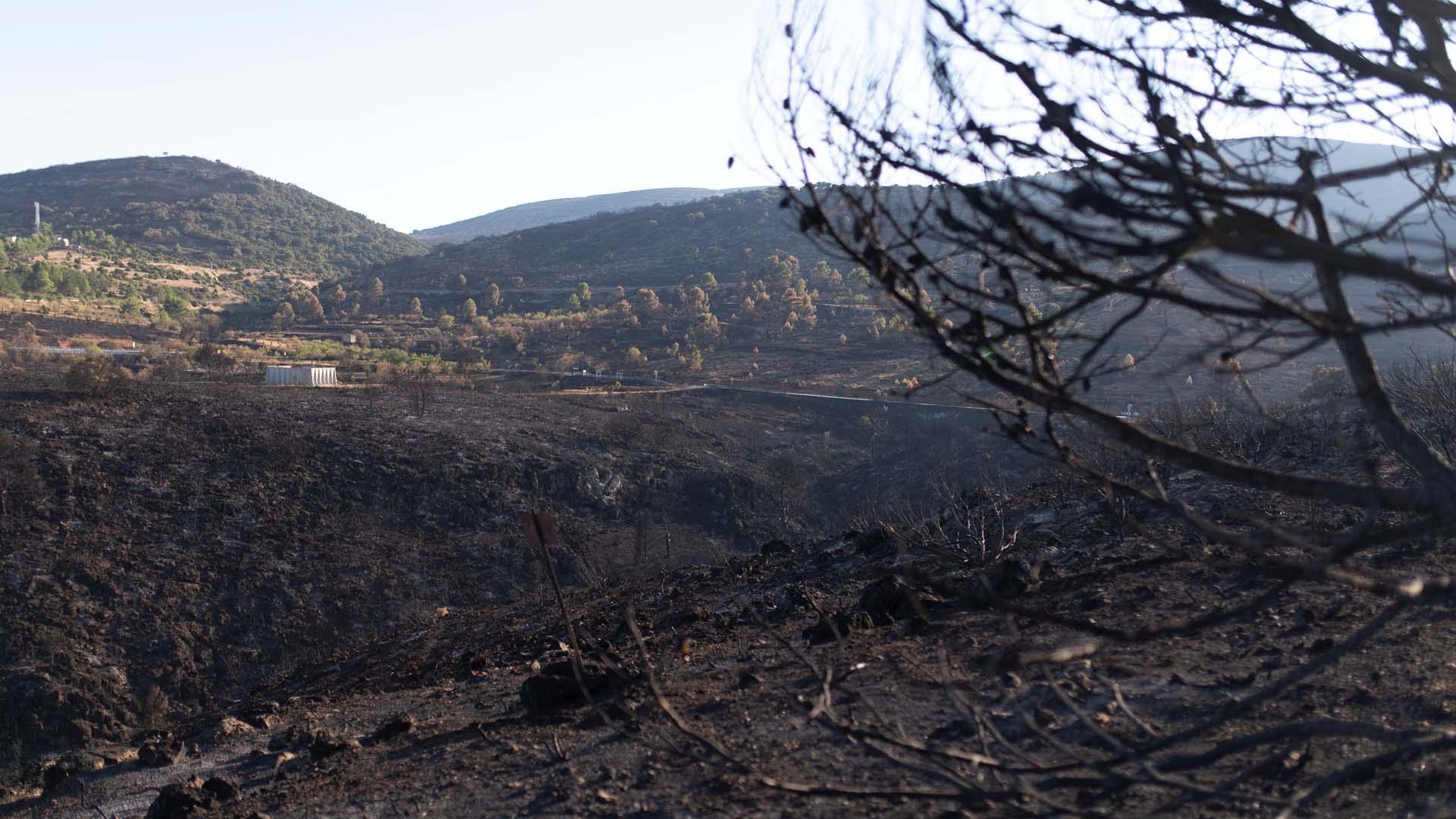 El incendio de Bejís ha arrasado más de 19.000 hectáreas