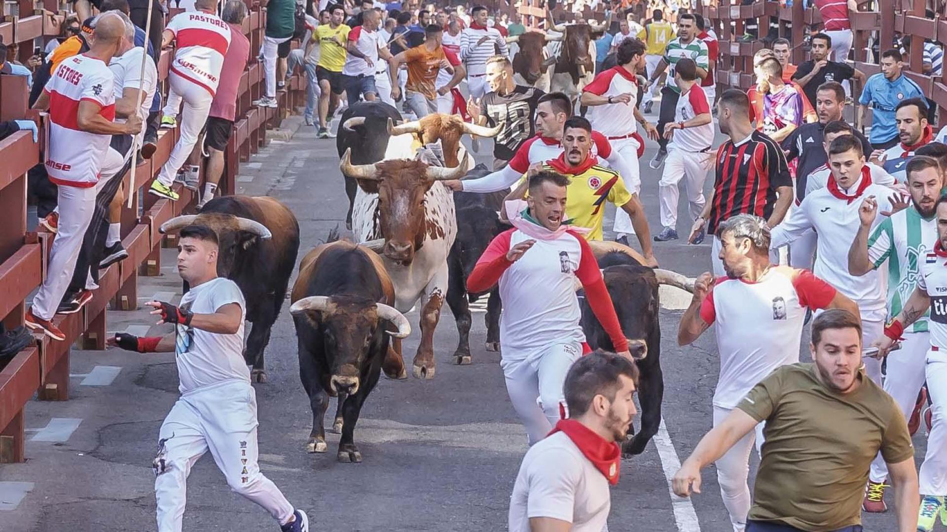 Imagen del primer encierro de las fiestas 2022 en San Sebastián de los Reyes