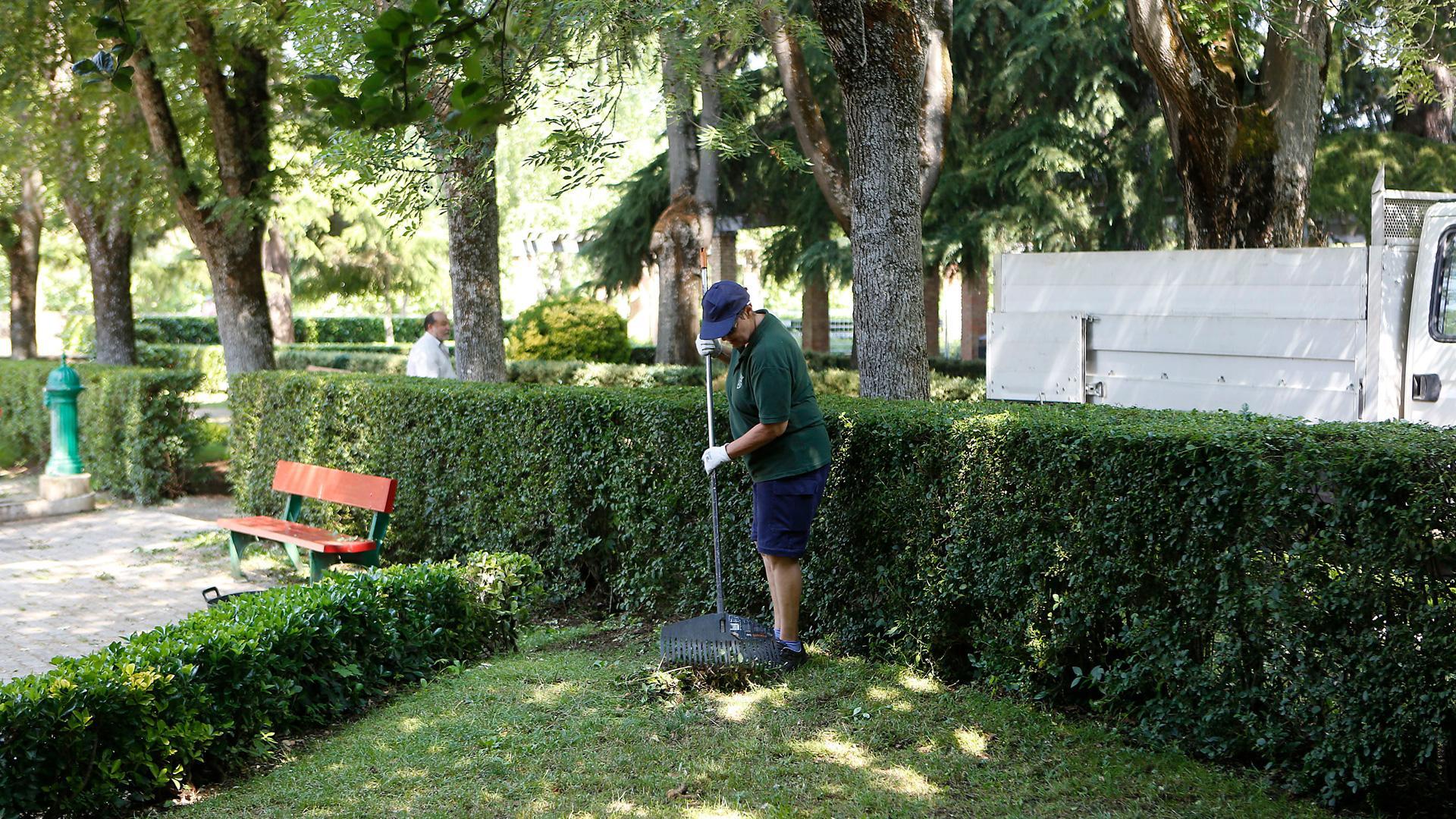 Una persona realizando labores de jardinería