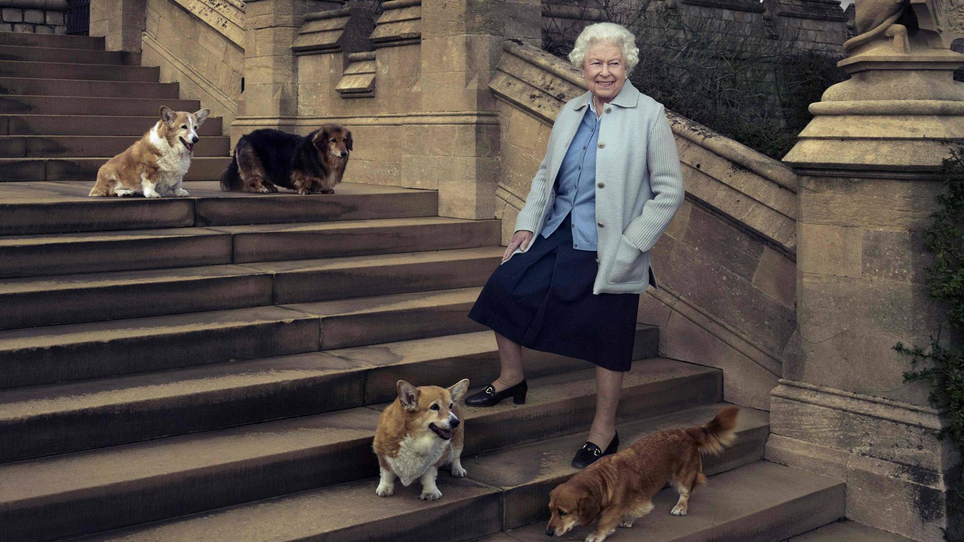 La reina, posando en 2016 con sus perros en una de las escaleras del castillo de Windsor