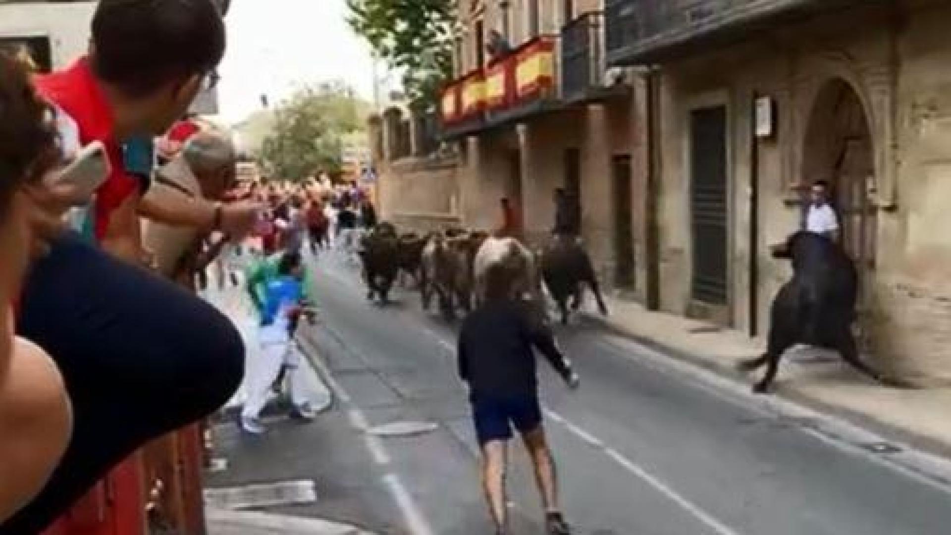 Un mozo se salva de milagro de ser cogido por un toro en Cintruénigo