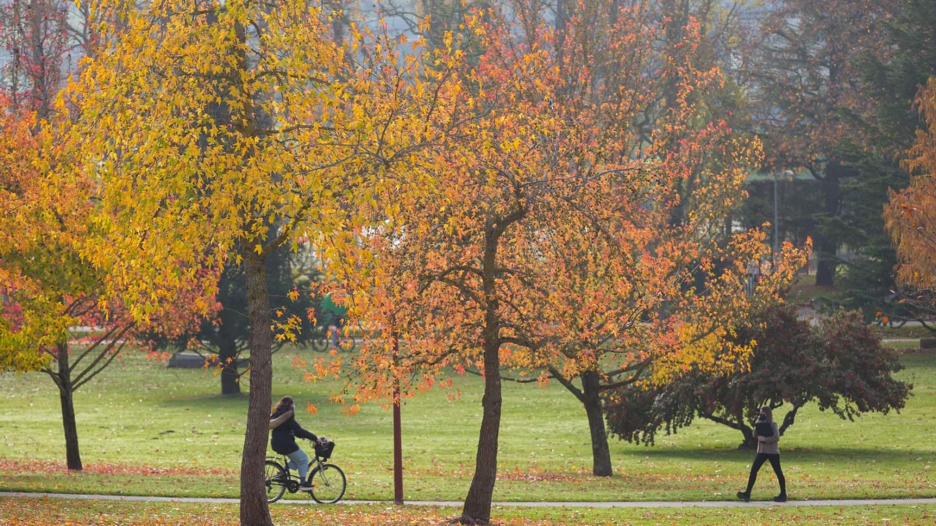 Imagen del campus de la Universidad de Navarra
