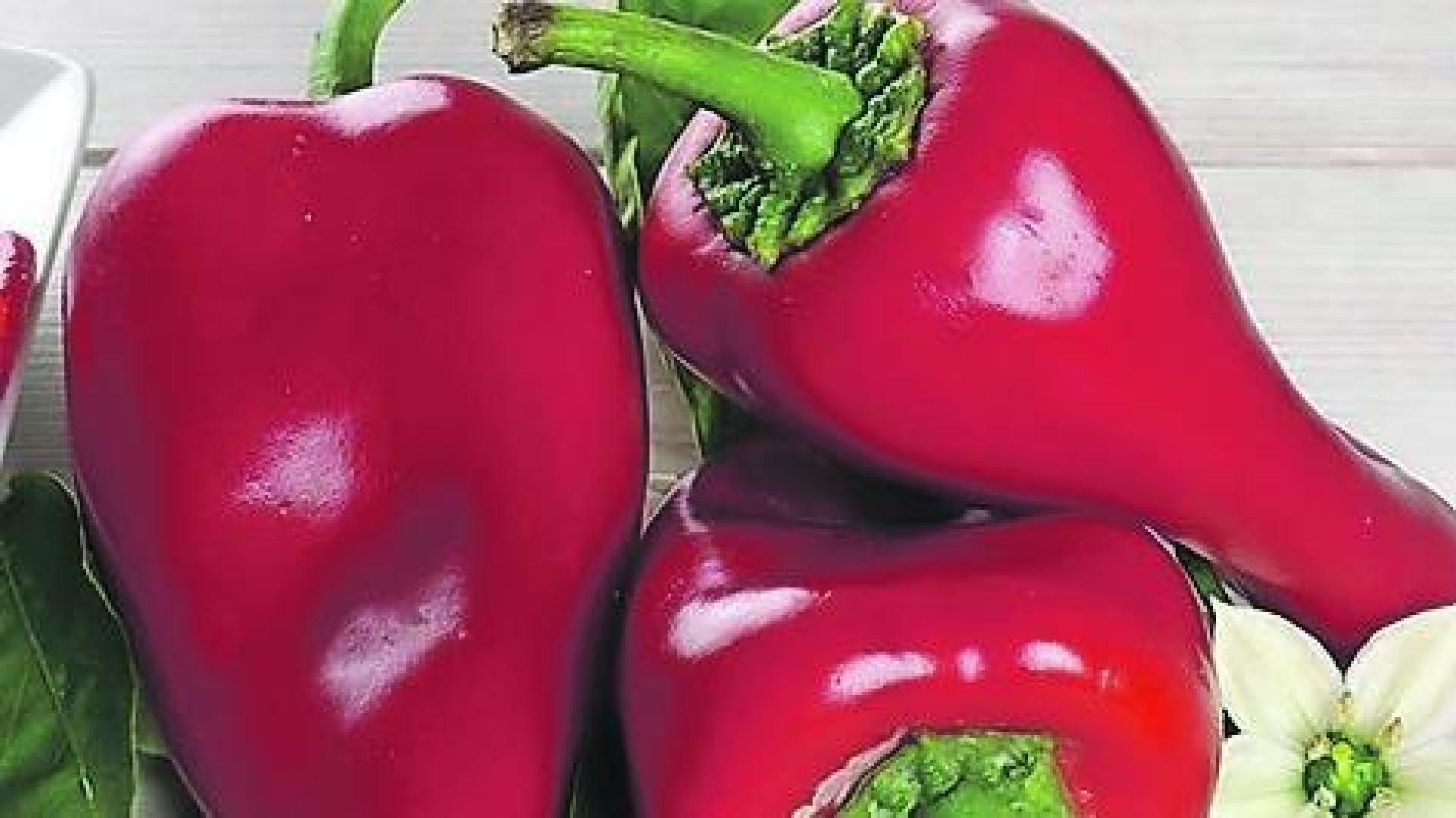 Pimiento piquillo