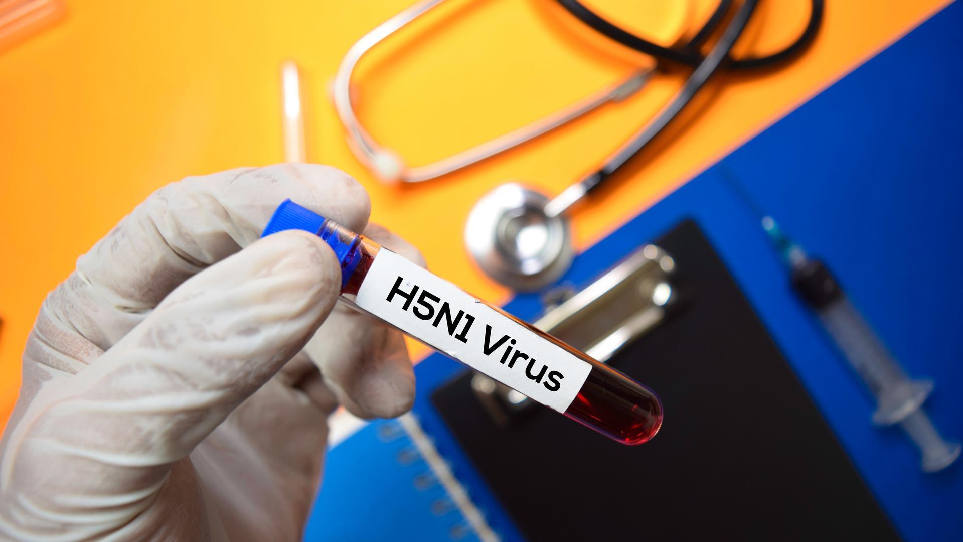 Virus H5N1